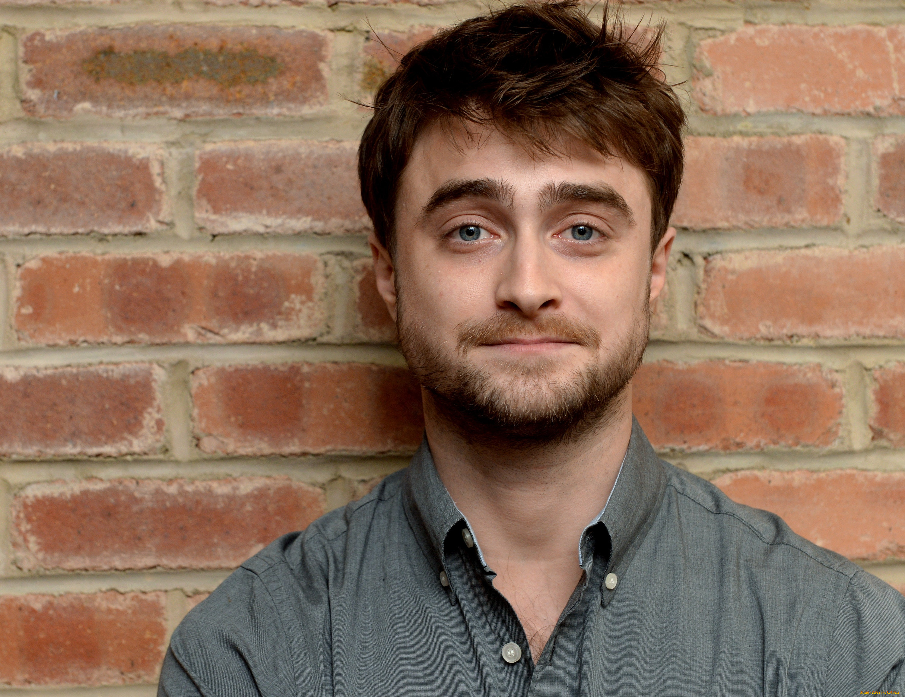 мужчины, daniel, radcliffe, актер, лицо, рубашка, стена