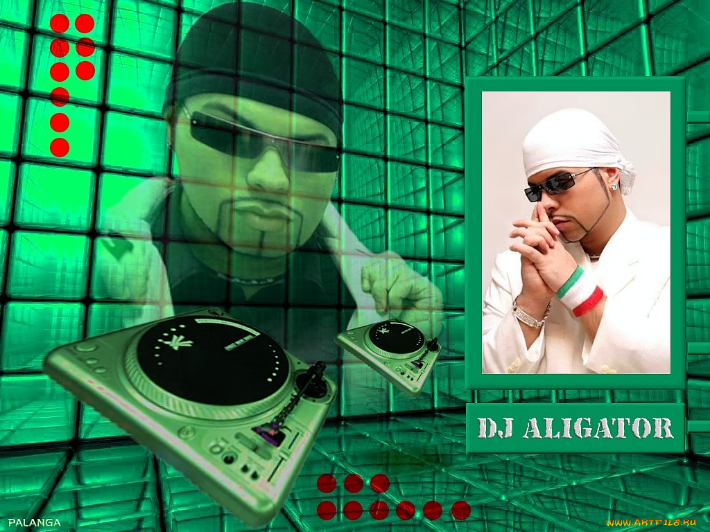 dj, aligator, музыка