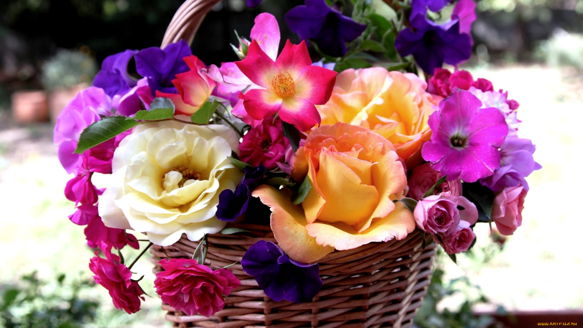 цветы, букеты, композиции, корзинка, розы, петуния
