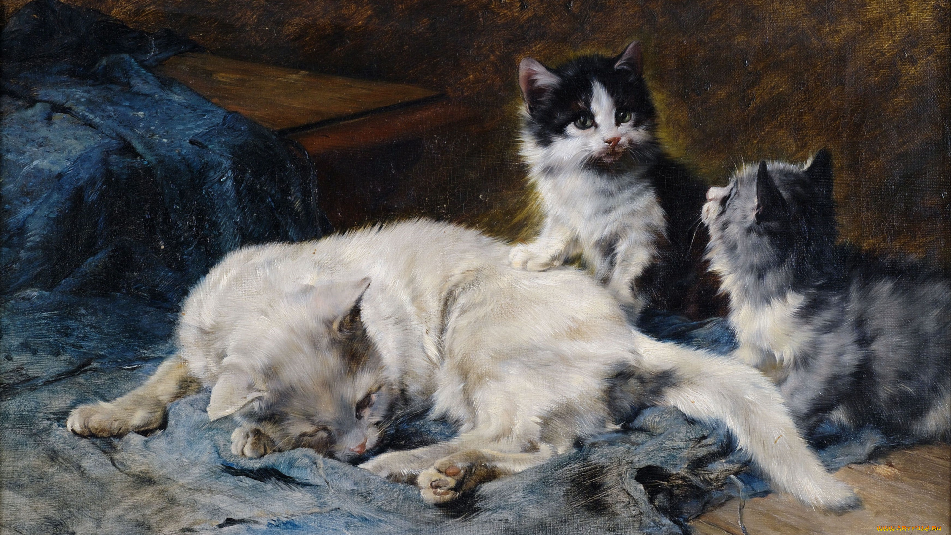 julius, adam, рисованные, котенок