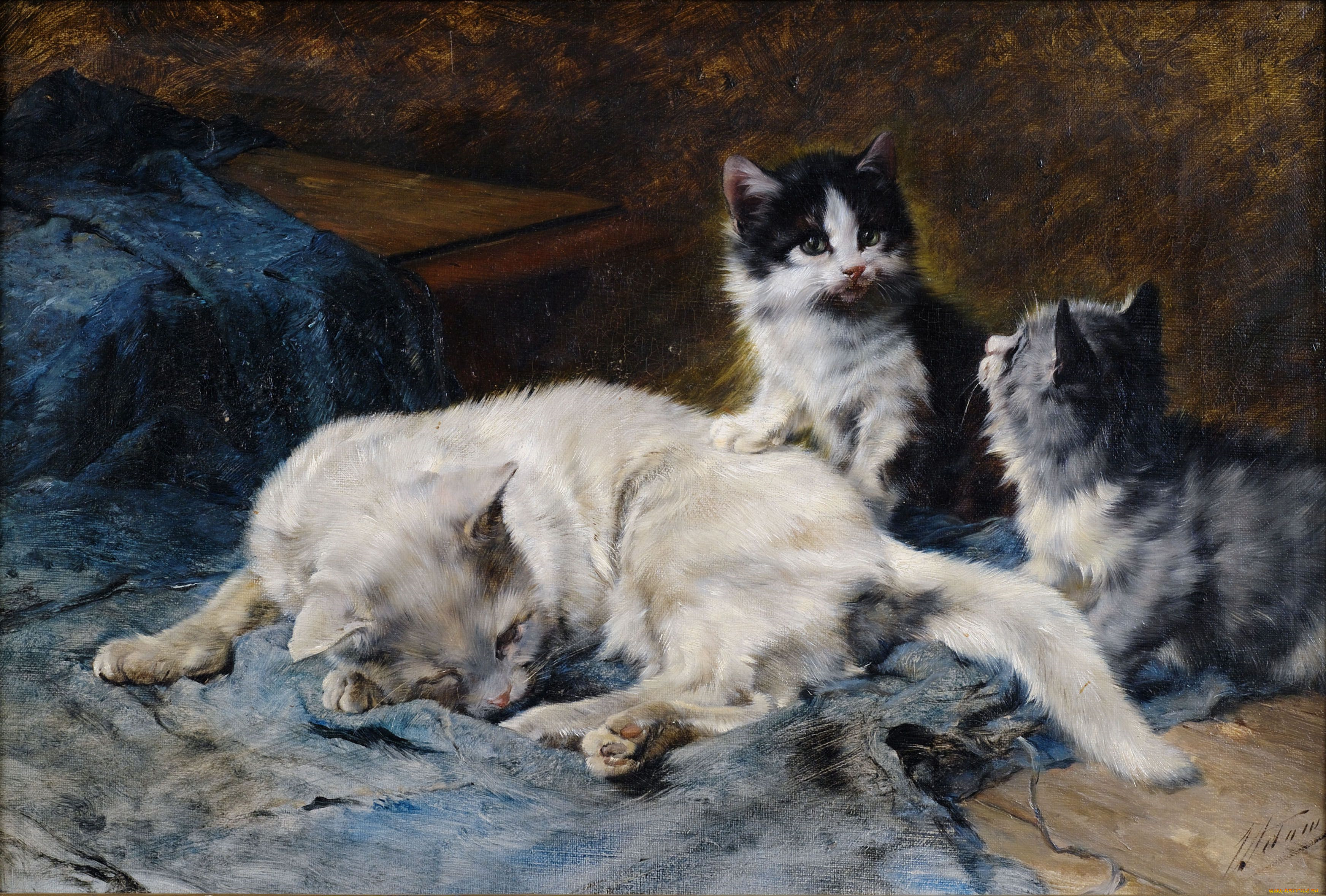 julius, adam, рисованные, котенок