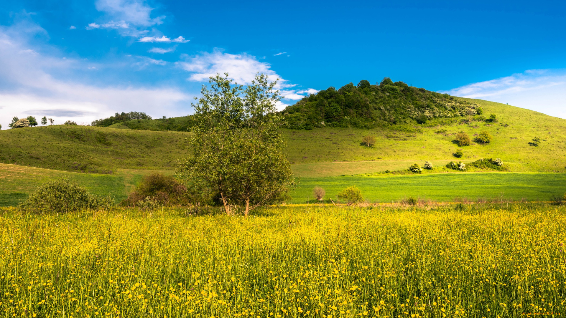 природа, пейзажи, равнина