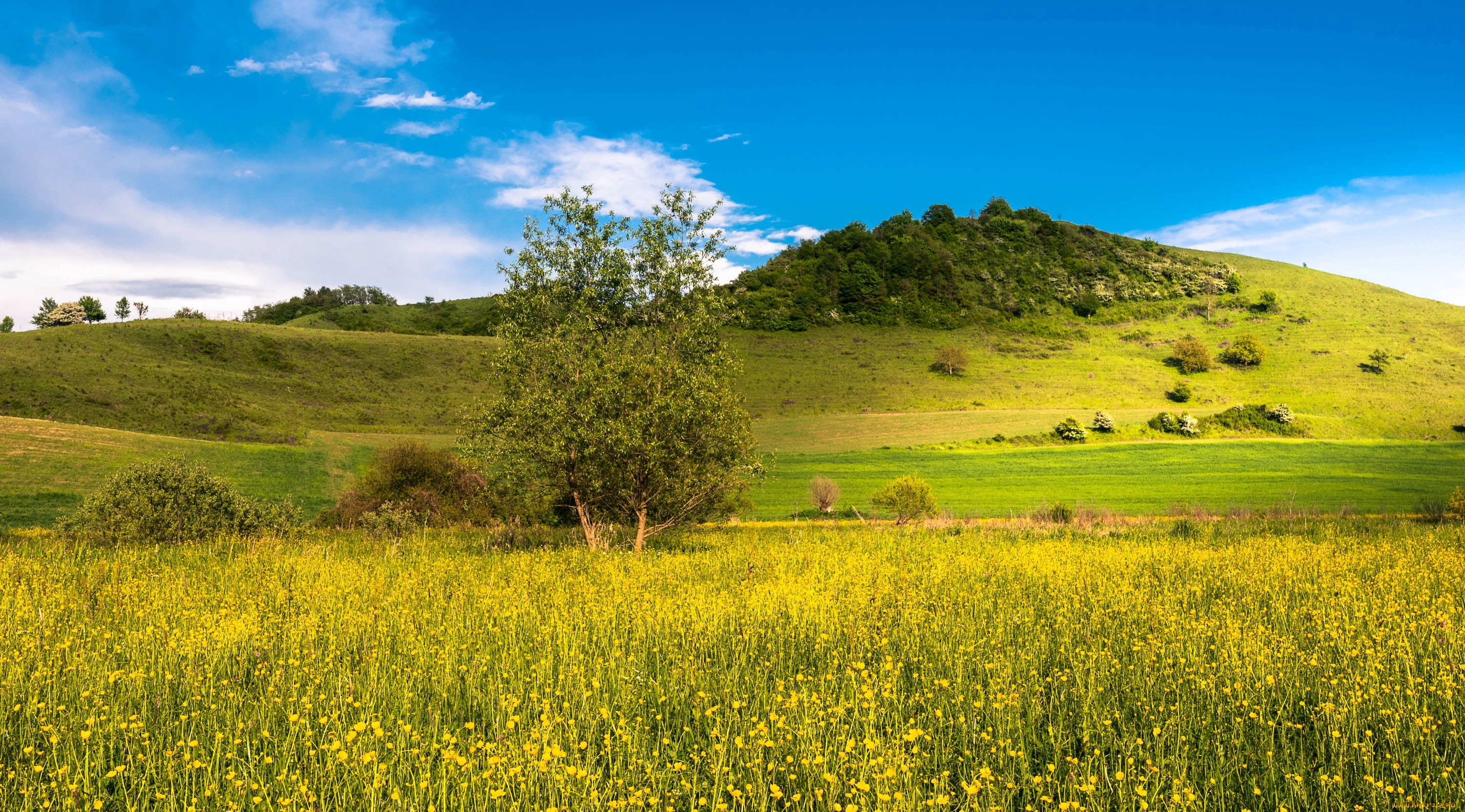 природа, пейзажи, равнина