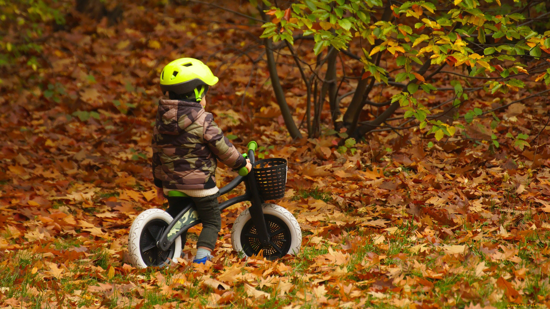 разное, дети, ребенок, шлем, велосипед, осень, листья
