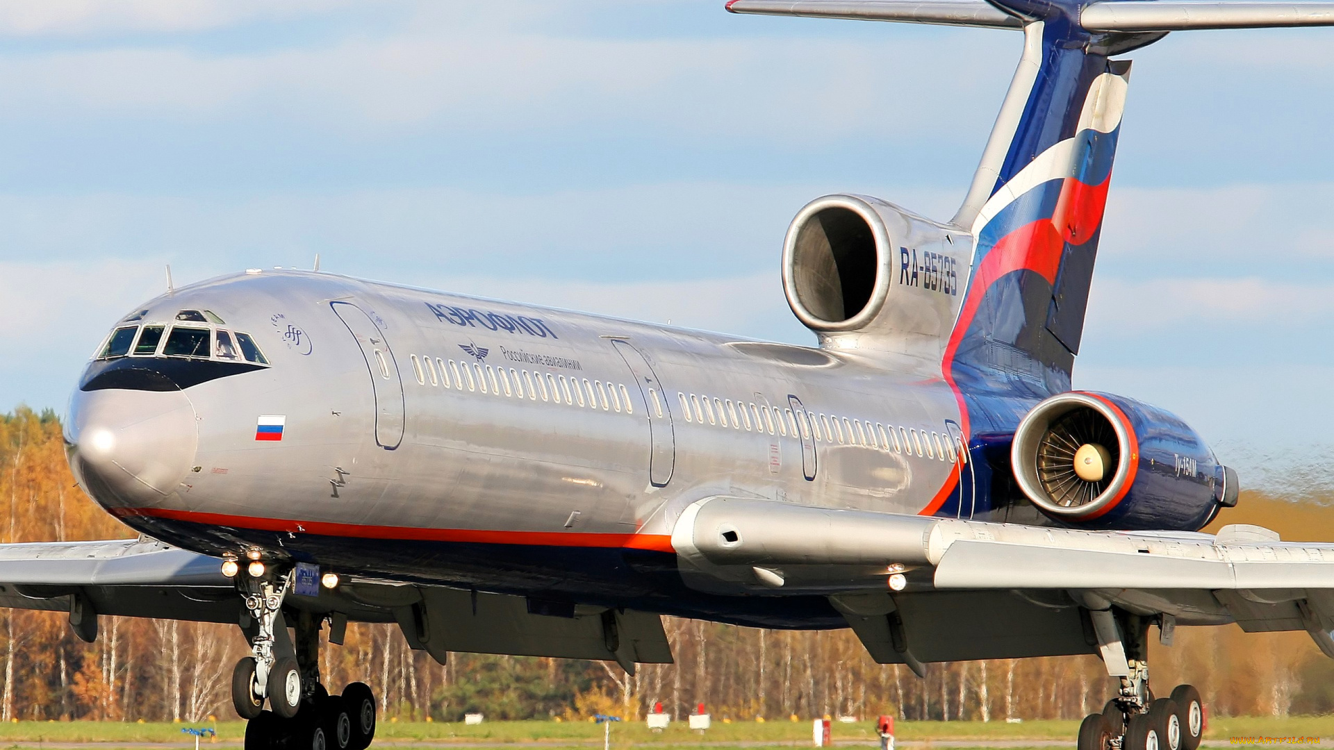 aeroflot, airbus, авиация, пассажирские, самолёты, самолет, лес