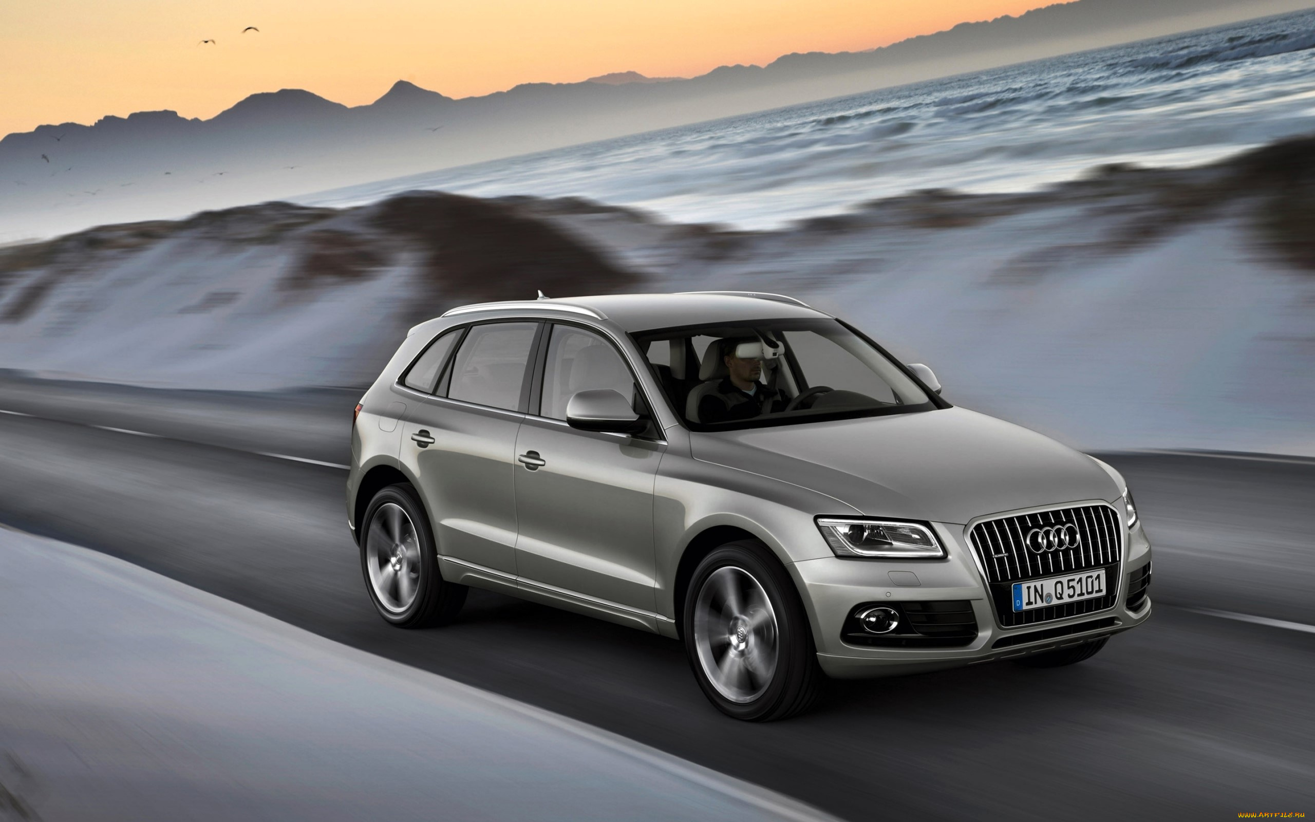 audi, q5, автомобили, audi, серебристый, дорога, скорость, море