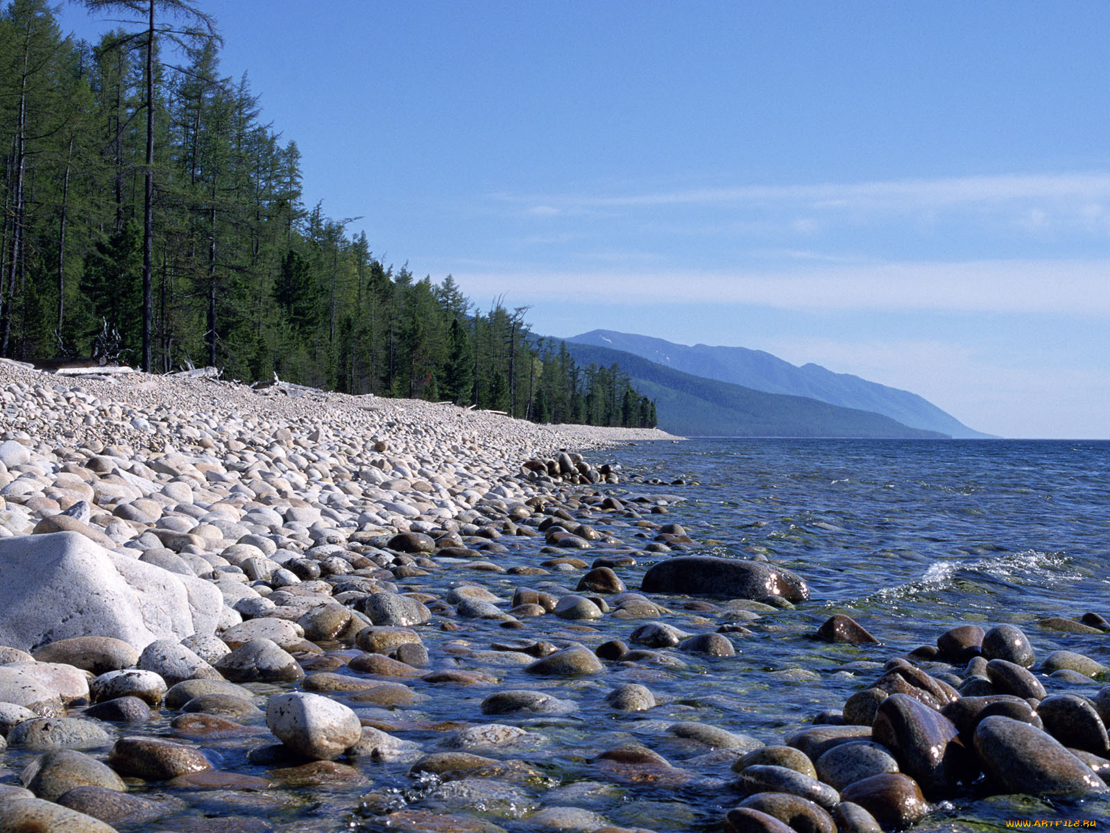 природа, побережье, лес, камни, вода