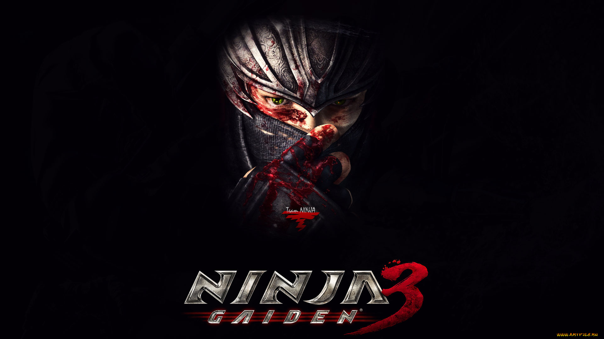 ninja, gaiden, видео, игры
