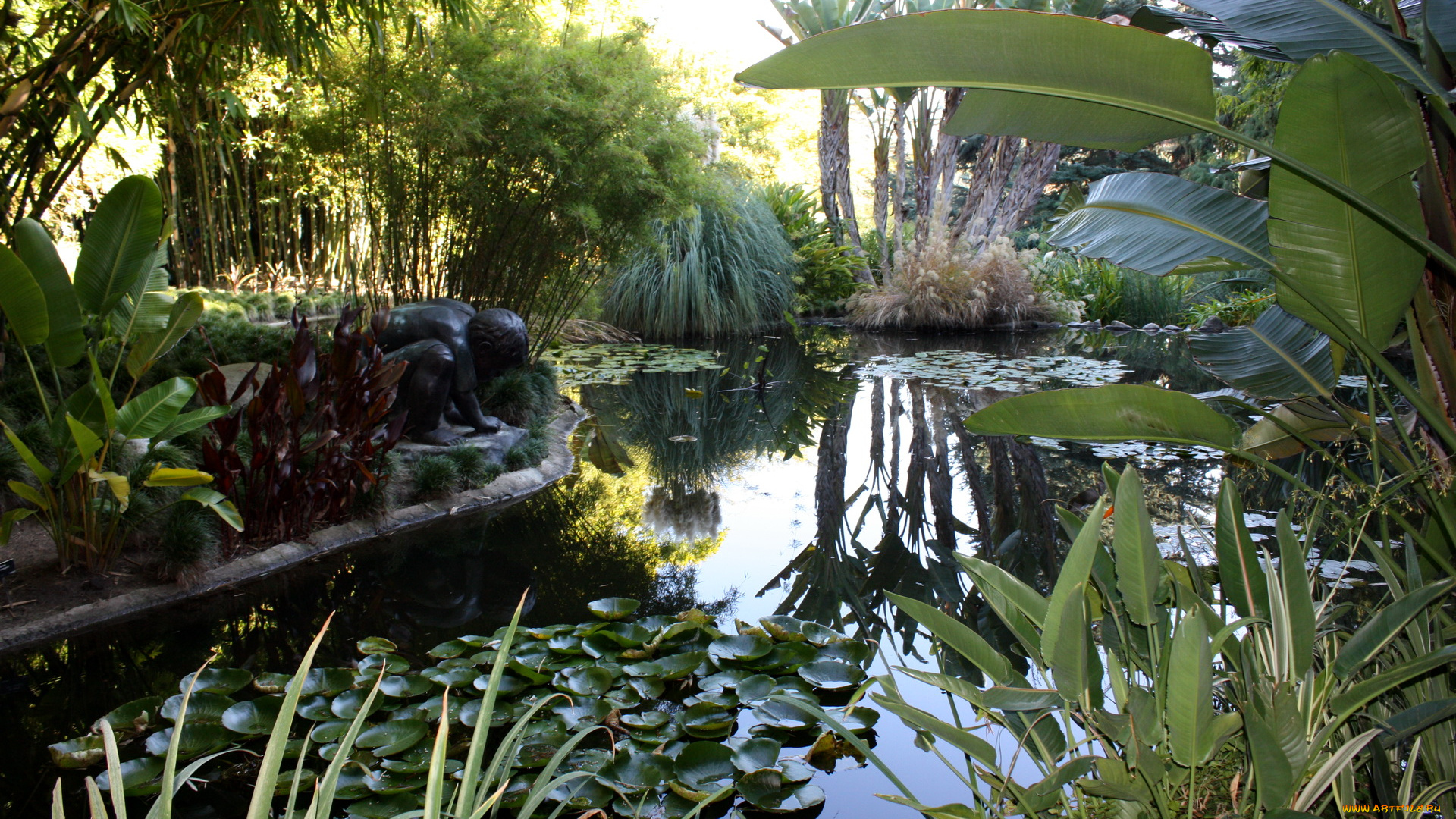 botanical, garden, san, marino, california, usa, природа, парк