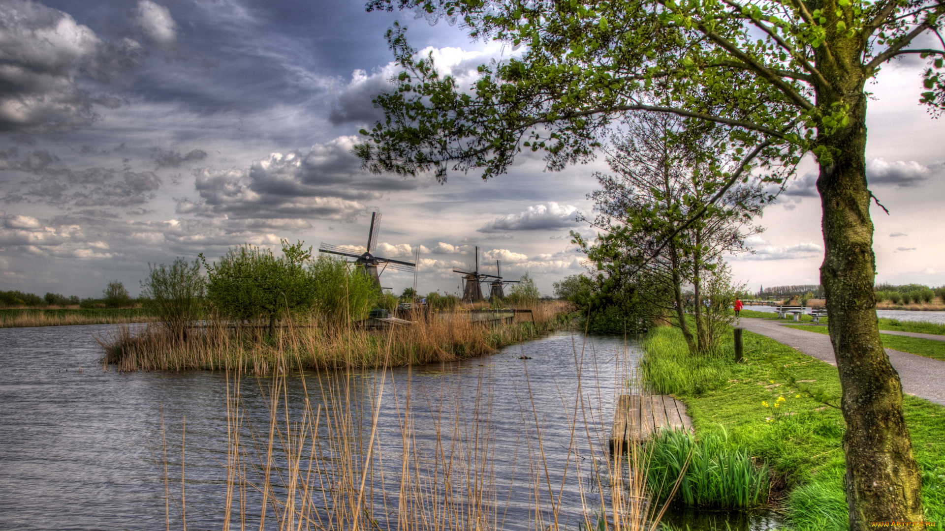 рейн, kinderdijk, holland, природа, реки, озера, ветряки