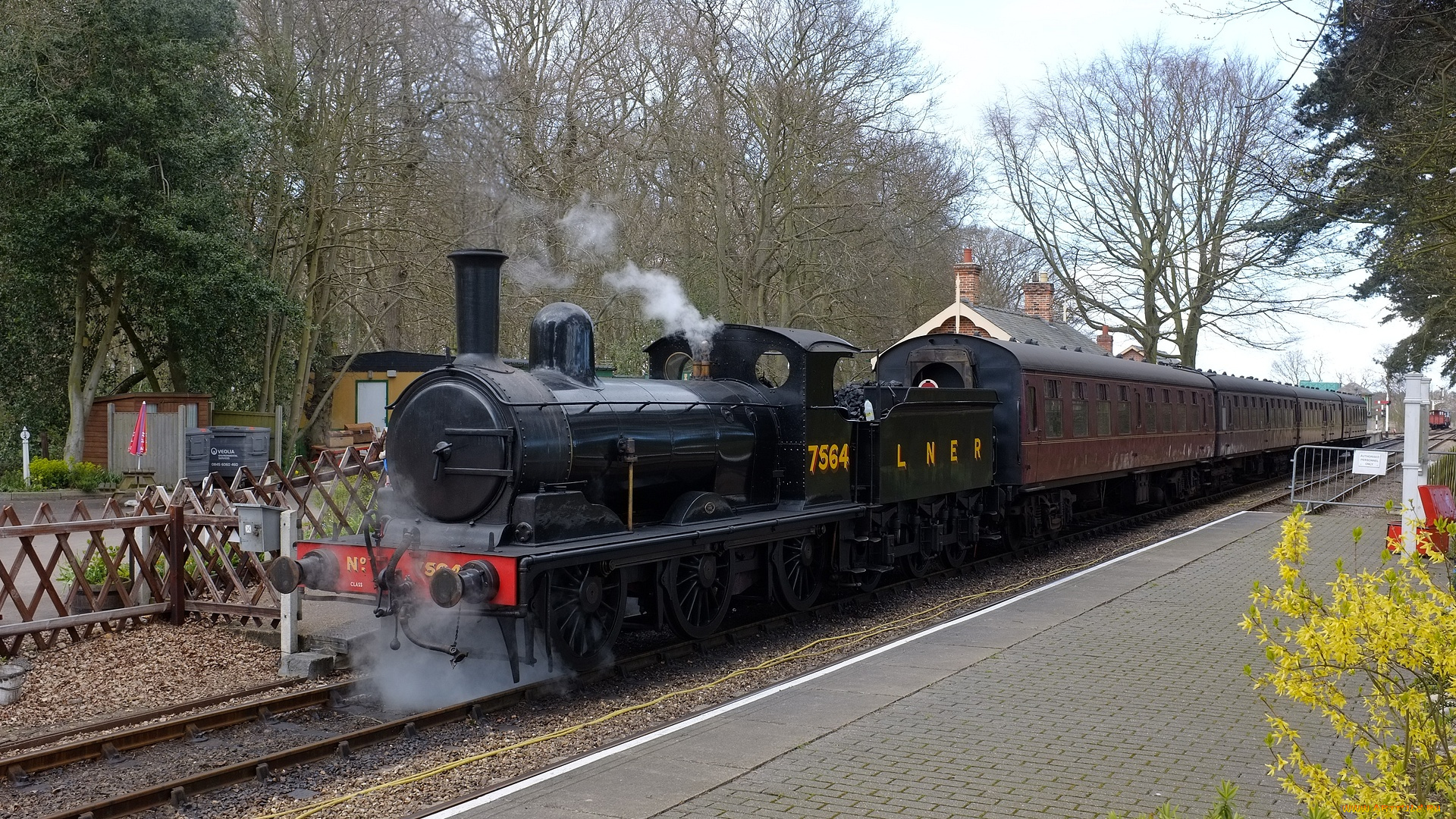 steam, train, at, holt, station, техника, паровозы, паровоз, состав, вагоны, станция