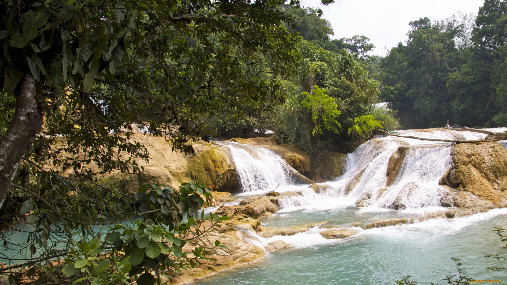 cascadas, de, agua, azul, mexica, природа, водопады, водопад, река, лес