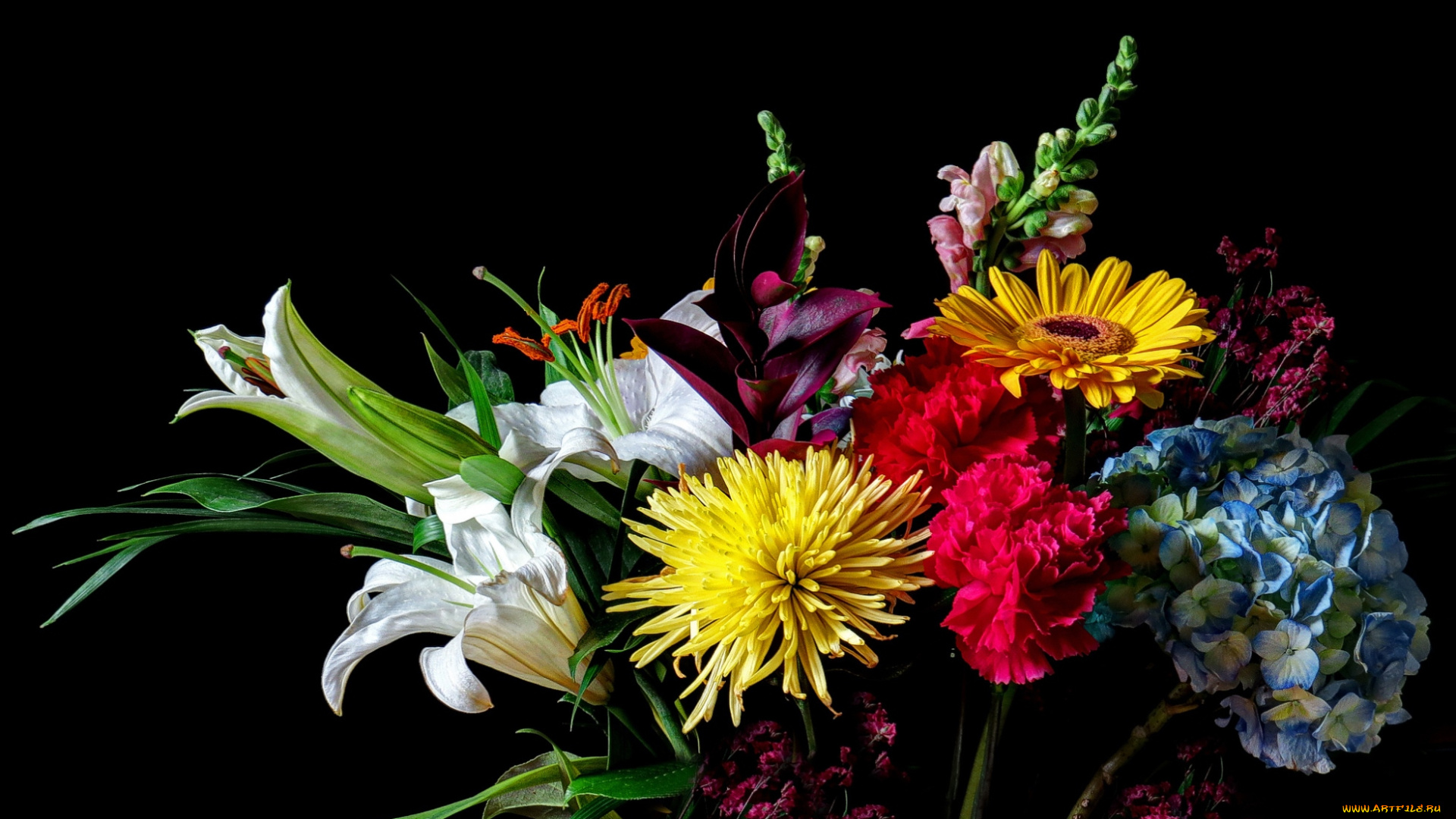 цветы, разные, вместе, лилии, хризантемы, гербера, гвоздика, гортензия