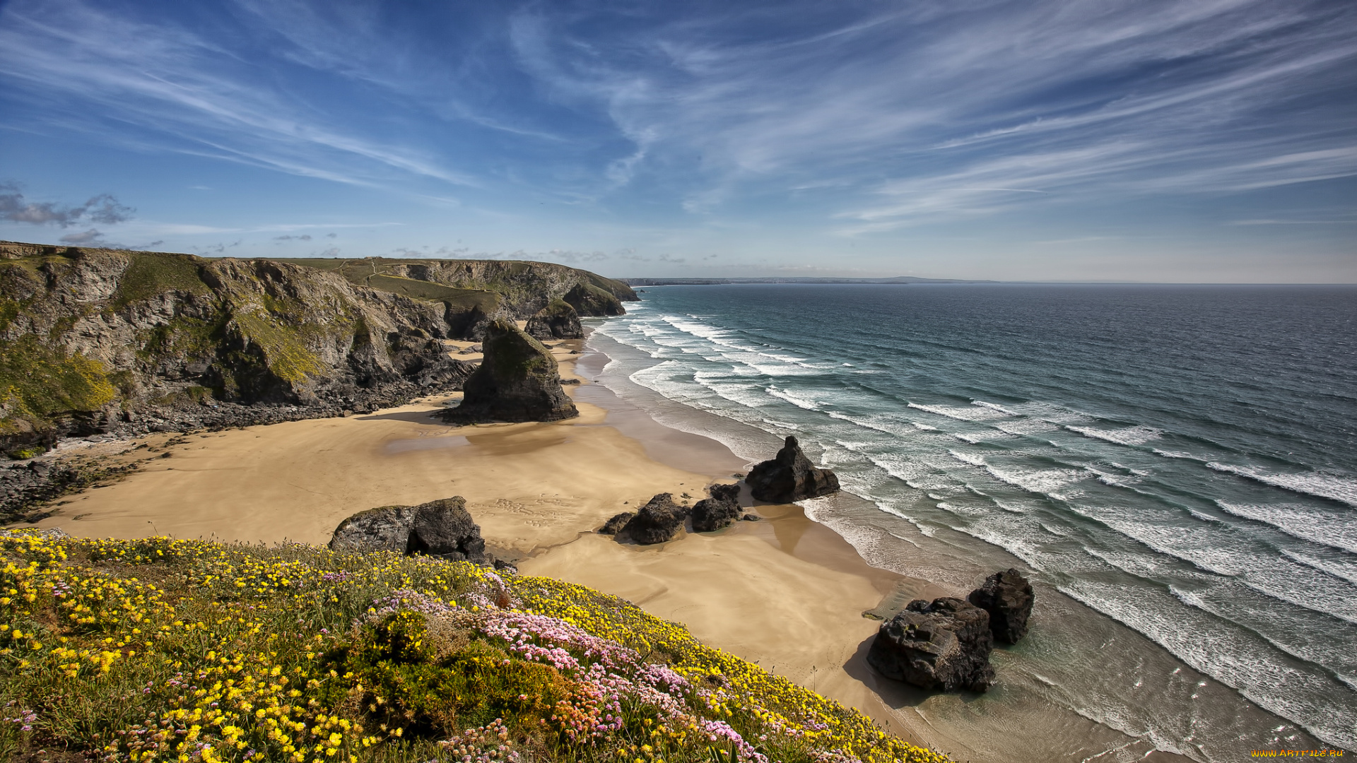 north, cornish, coast, природа, побережье, celtic, sea, северный, корнуолл, кельтское, море, скалы, цветы, англия, england