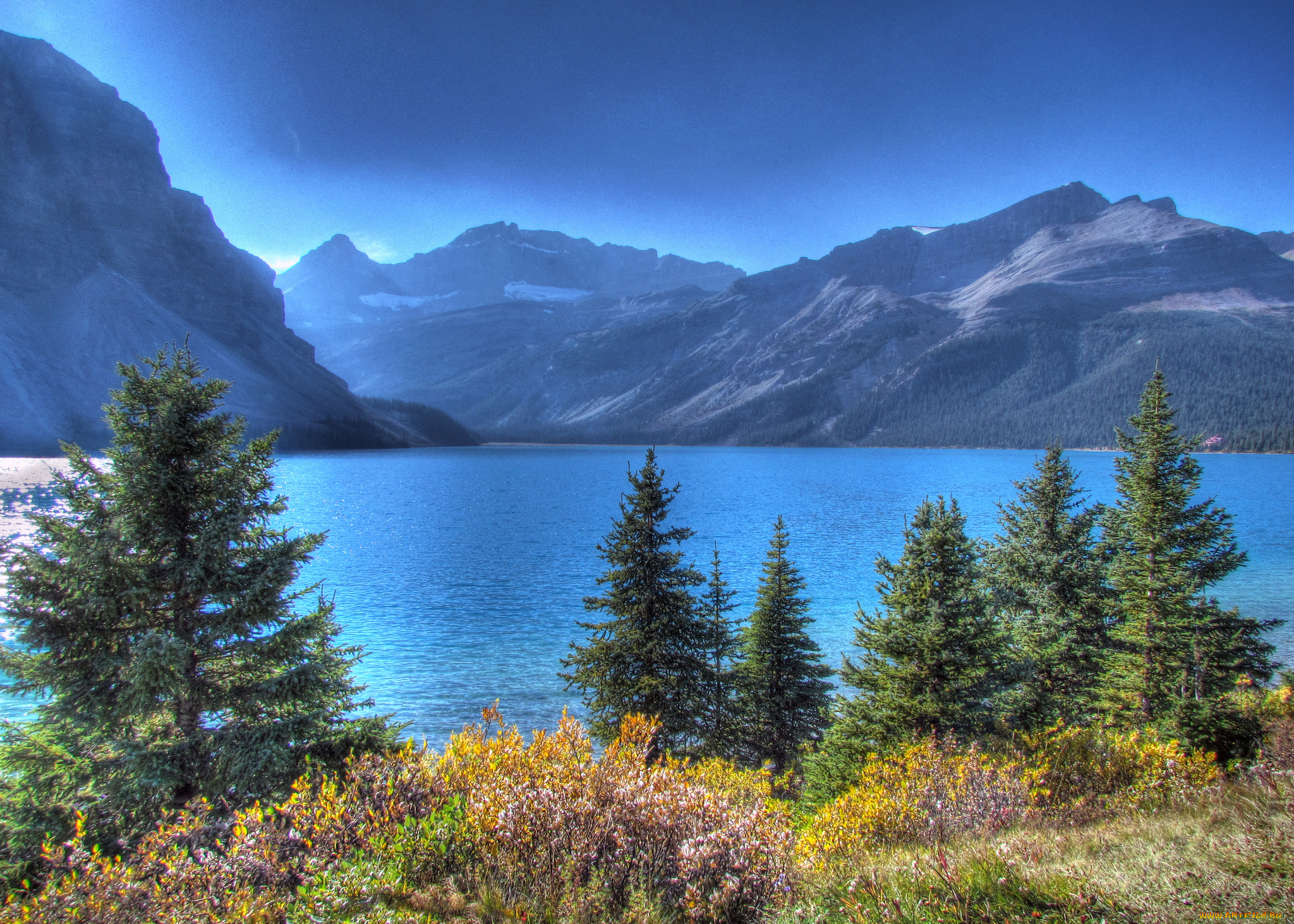Bow Lake and Flowers, Banff National Park, Alberta, Canada скачать