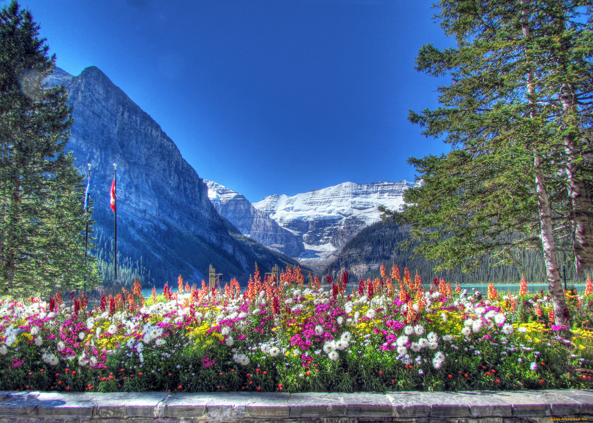 lake, louise, banff, national, park, alberta, canada, природа, горы, canadian, rockies, банф, альберта, канада, цветы, деревья, канадские, скалистые