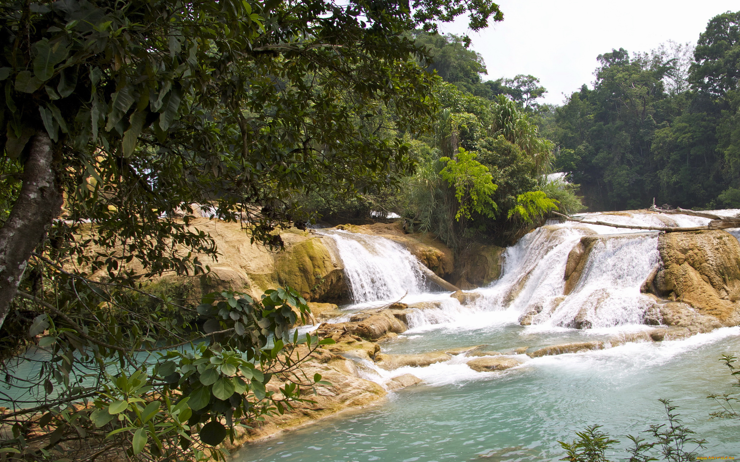 cascadas, de, agua, azul, mexica, природа, водопады, водопад, река, лес