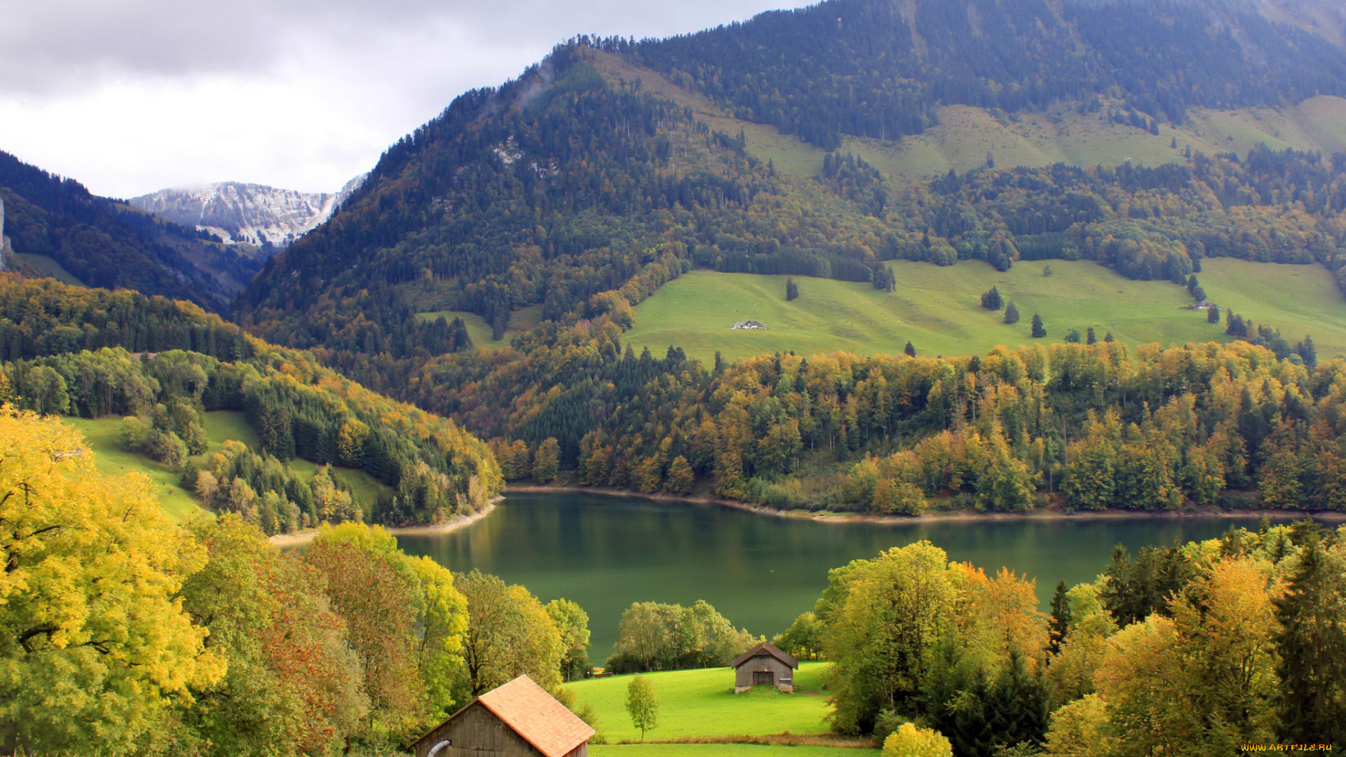 монтсальван, швейцария, природа, пейзажи, деревья, трава, швейцария, леса, горы, озеро, монтсальван