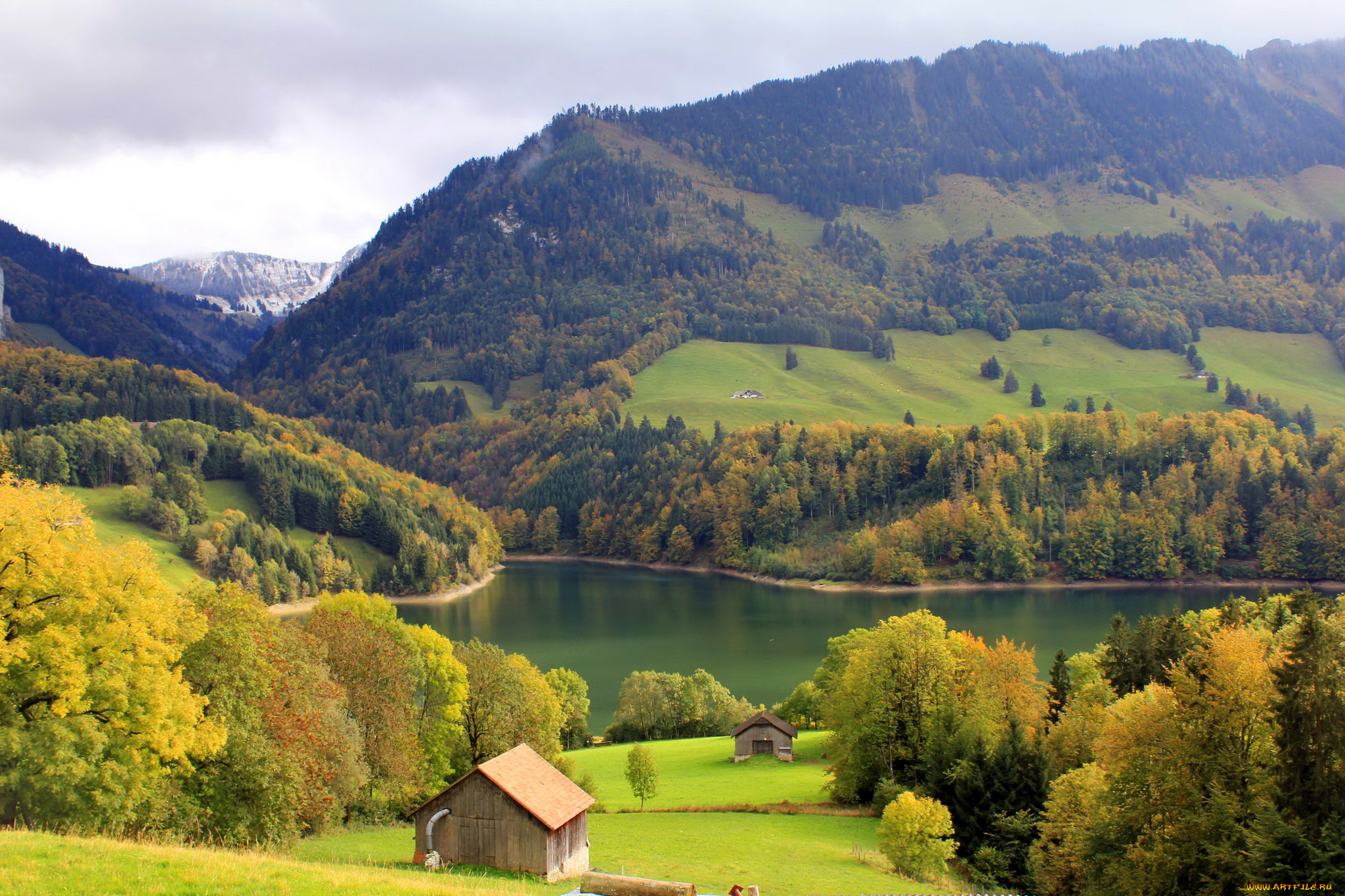 монтсальван, швейцария, природа, пейзажи, деревья, трава, швейцария, леса, горы, озеро, монтсальван