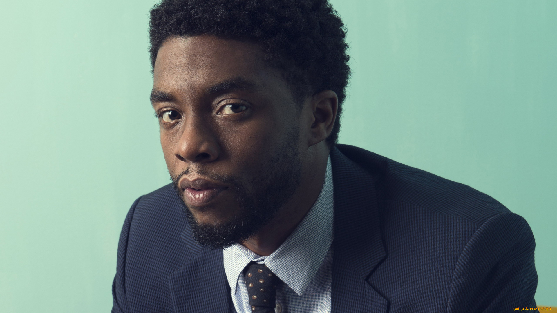 мужчины, chadwick, boseman, бородка