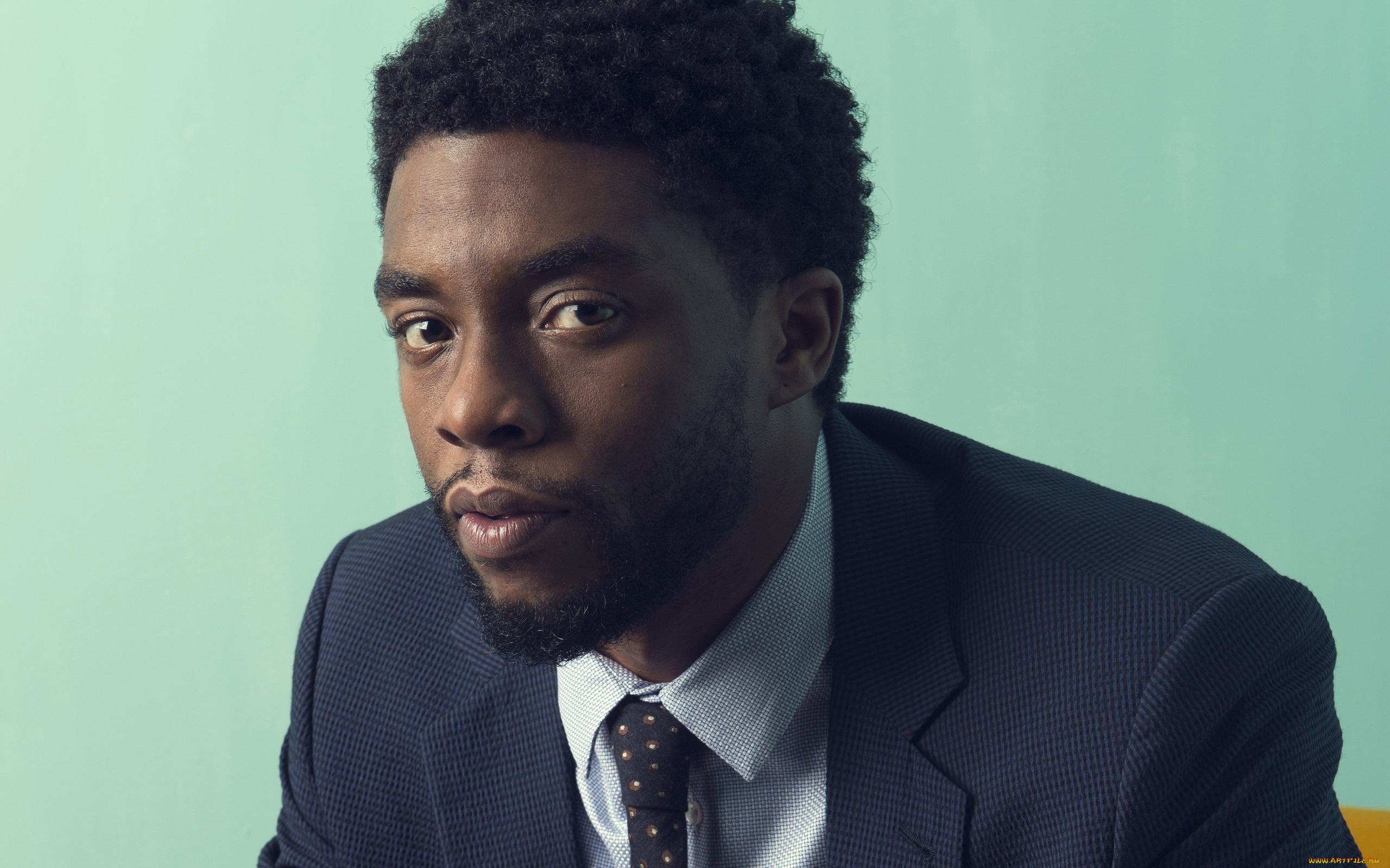 мужчины, chadwick, boseman, бородка