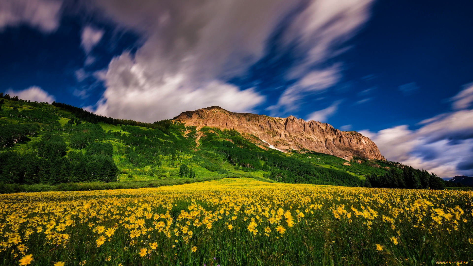 crested, butte, mountain, resort, colorado, природа, луга, crested, butte, mountain, resort