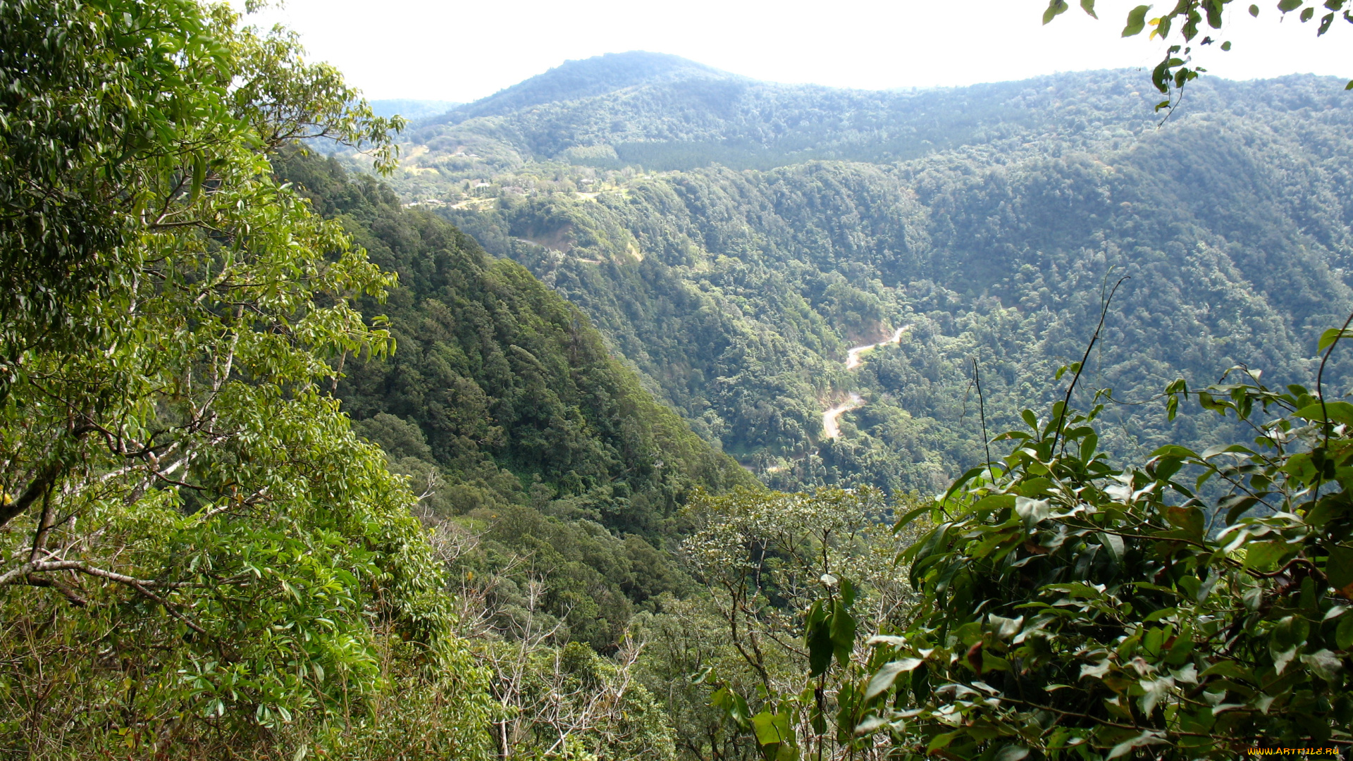 eungella, national, park, австралия, природа, горы