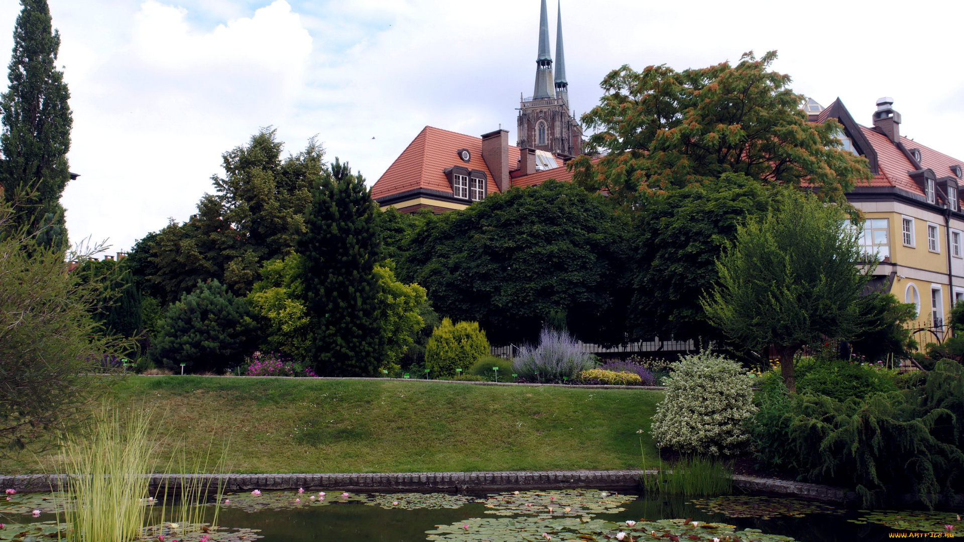 garden, wroclaw, poland, природа, парк