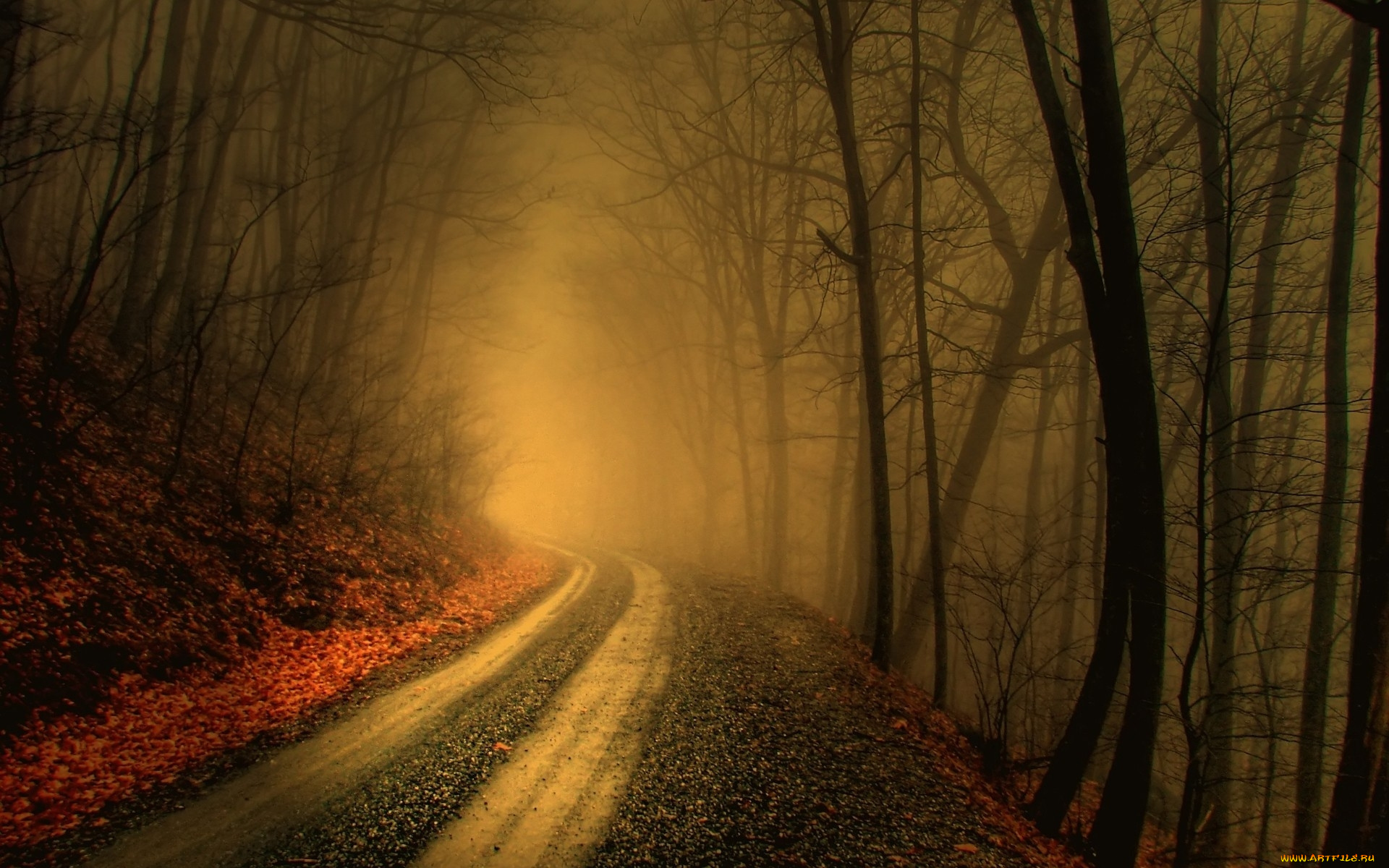 природа, дороги, дорога, туман, деревья