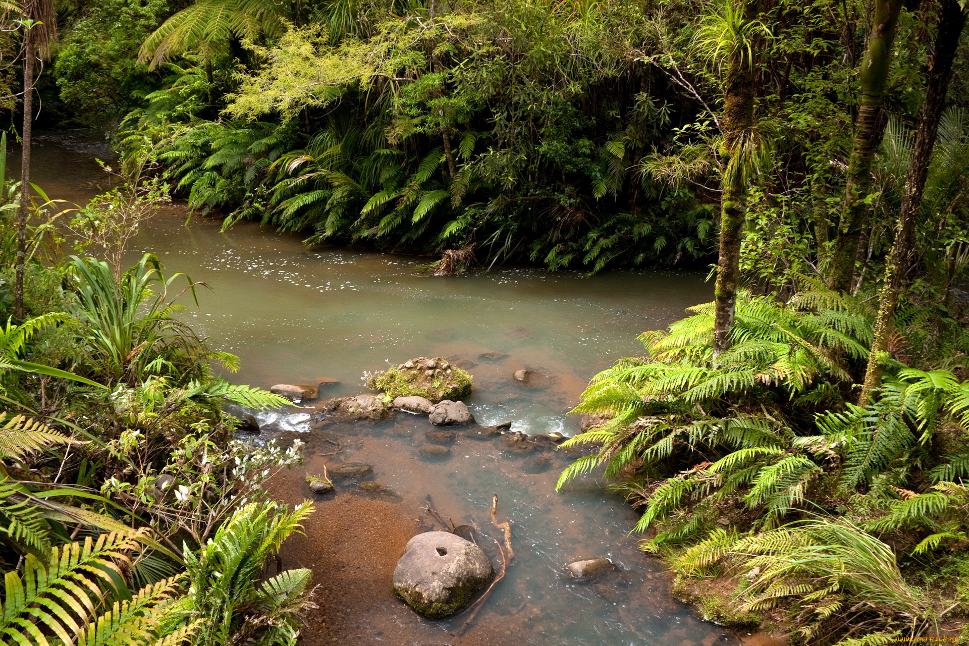 new, zealand, природа, реки, озера, тропики, река