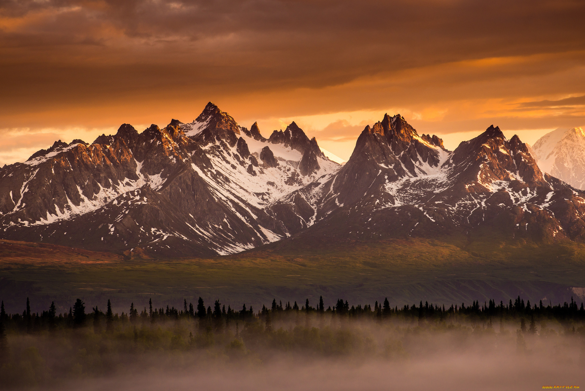 Your mountains. Горы. Лес горы. Пейзаж горы. Горы коричневые.