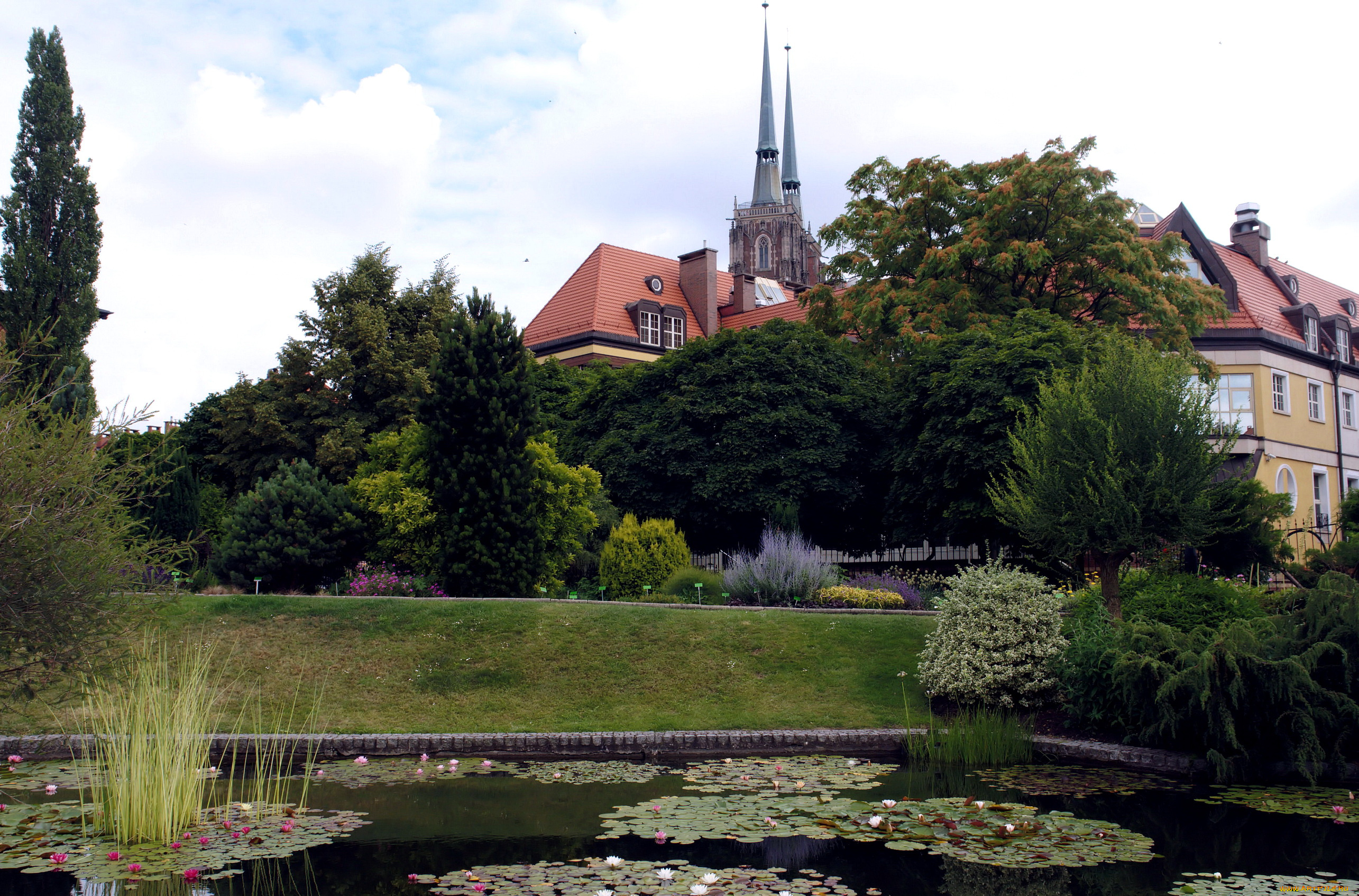 garden, wroclaw, poland, природа, парк