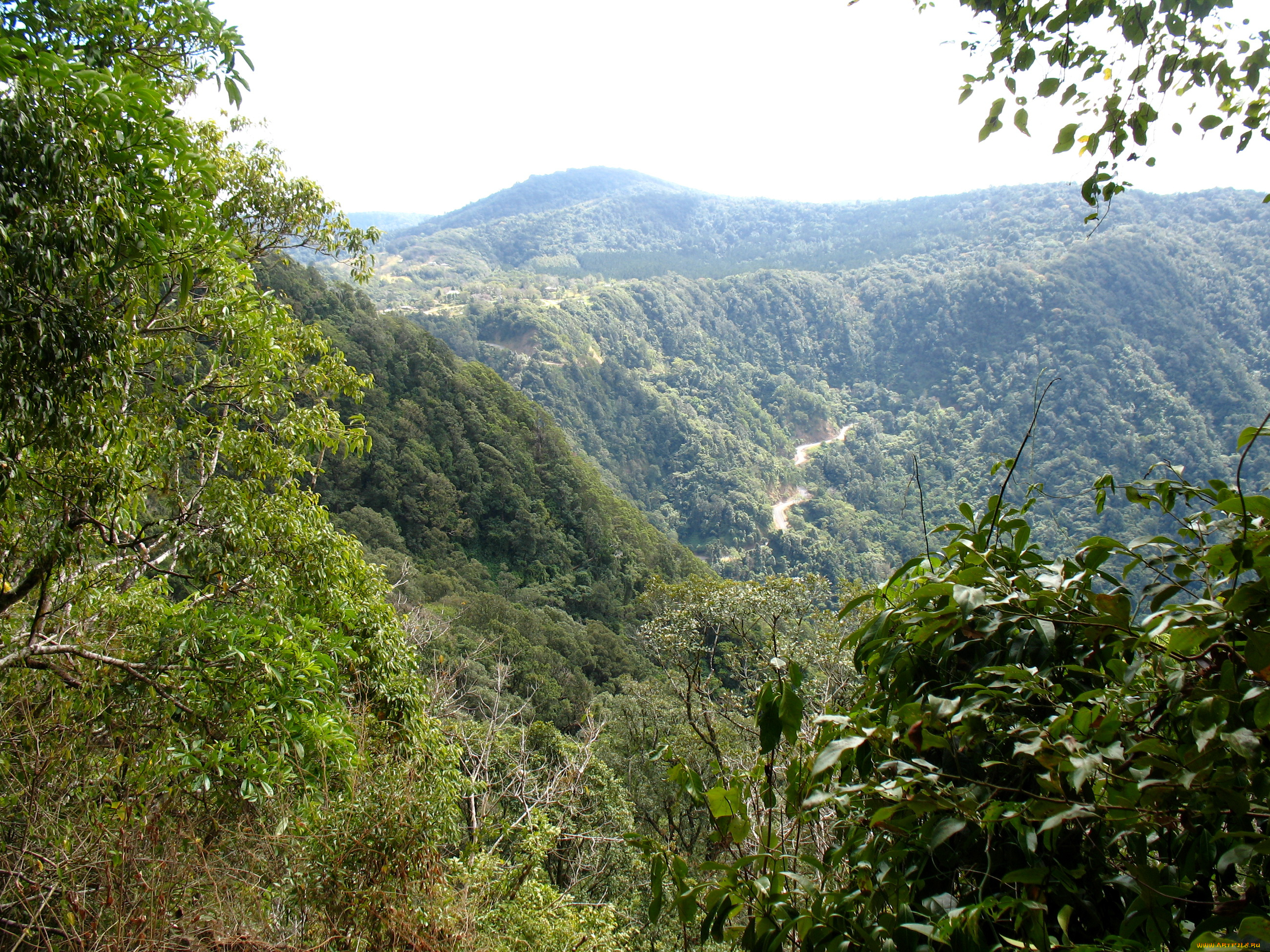 eungella, national, park, австралия, природа, горы