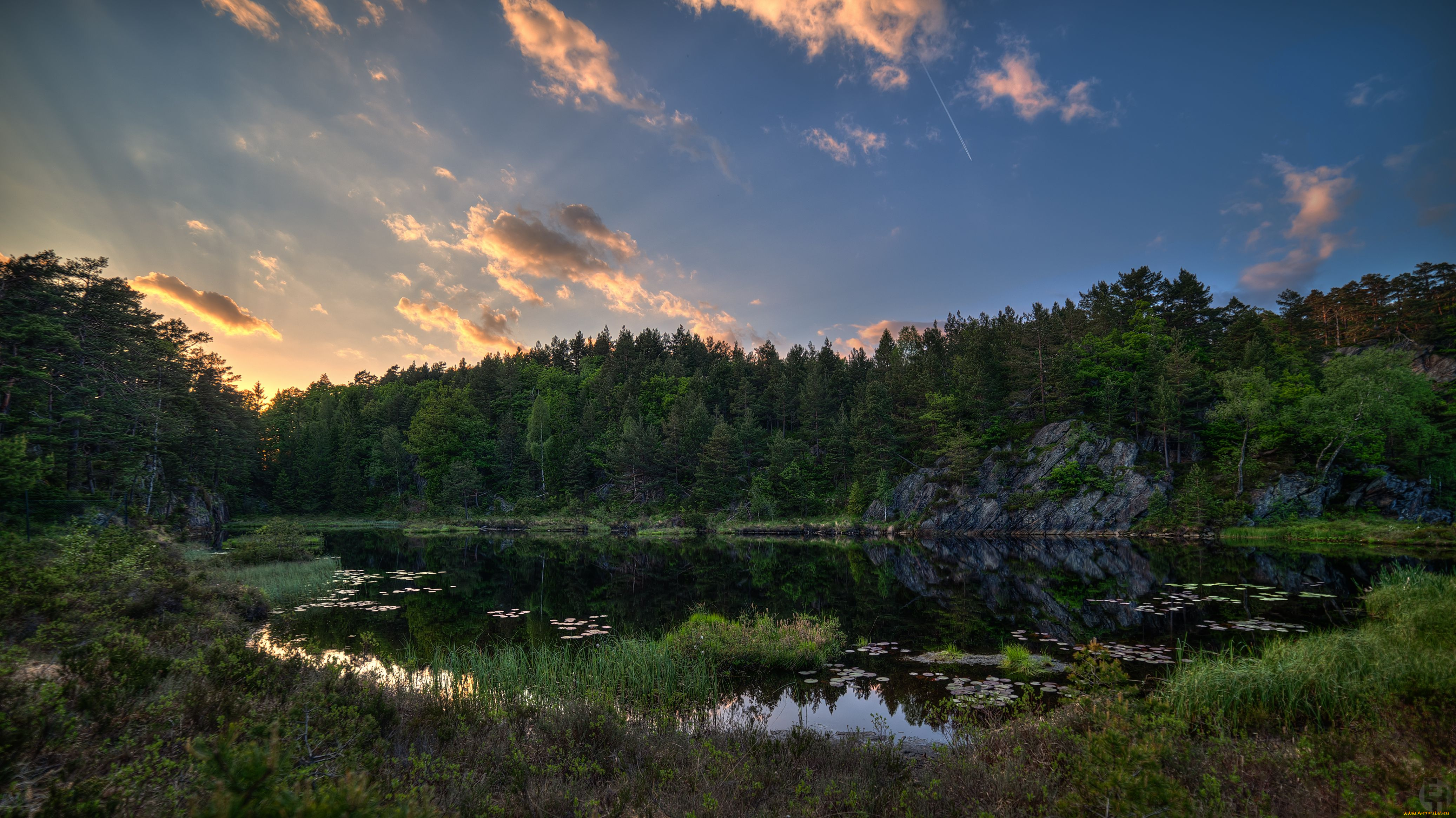 природа, реки, озера, озеро, норвегия, norway, лес, деревья, трава, пейзаж