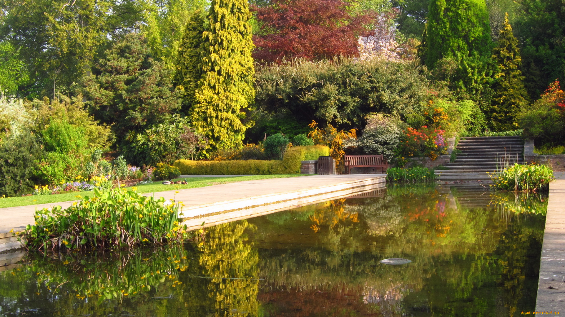 hill, garden, london, природа, парк, водоем, растения, скамейка, лестница