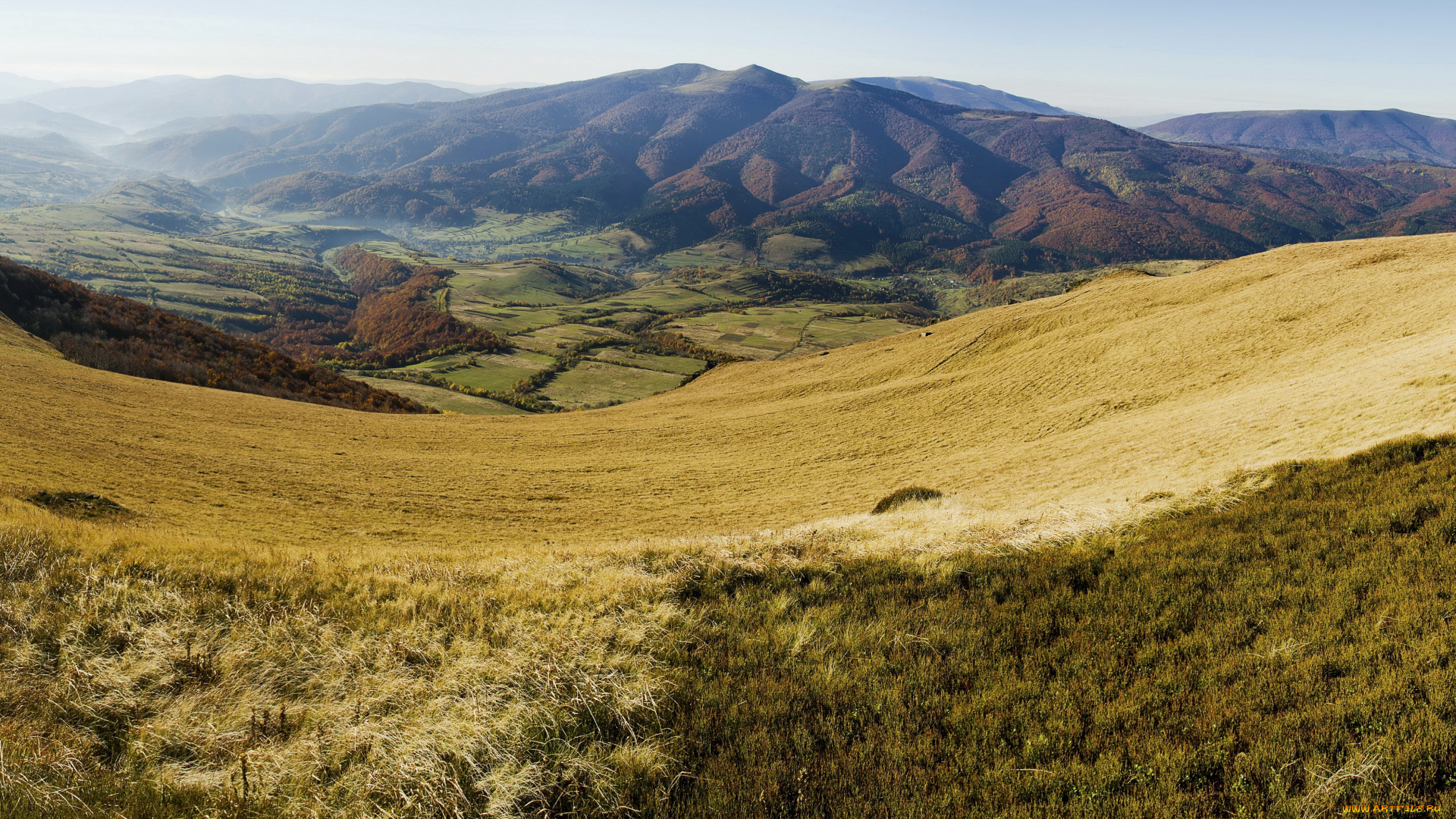 карпати, украина, природа, горы