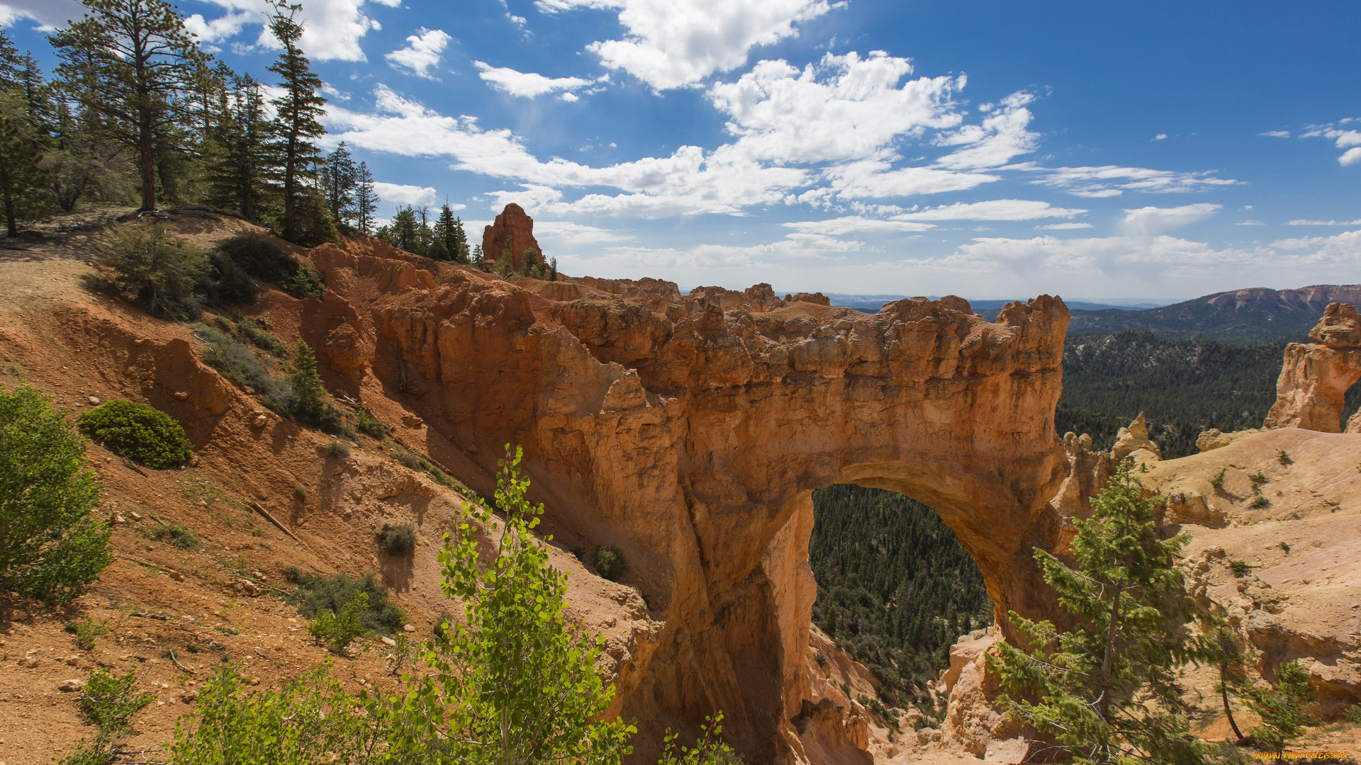 zion, national, park, utah, природа, горы