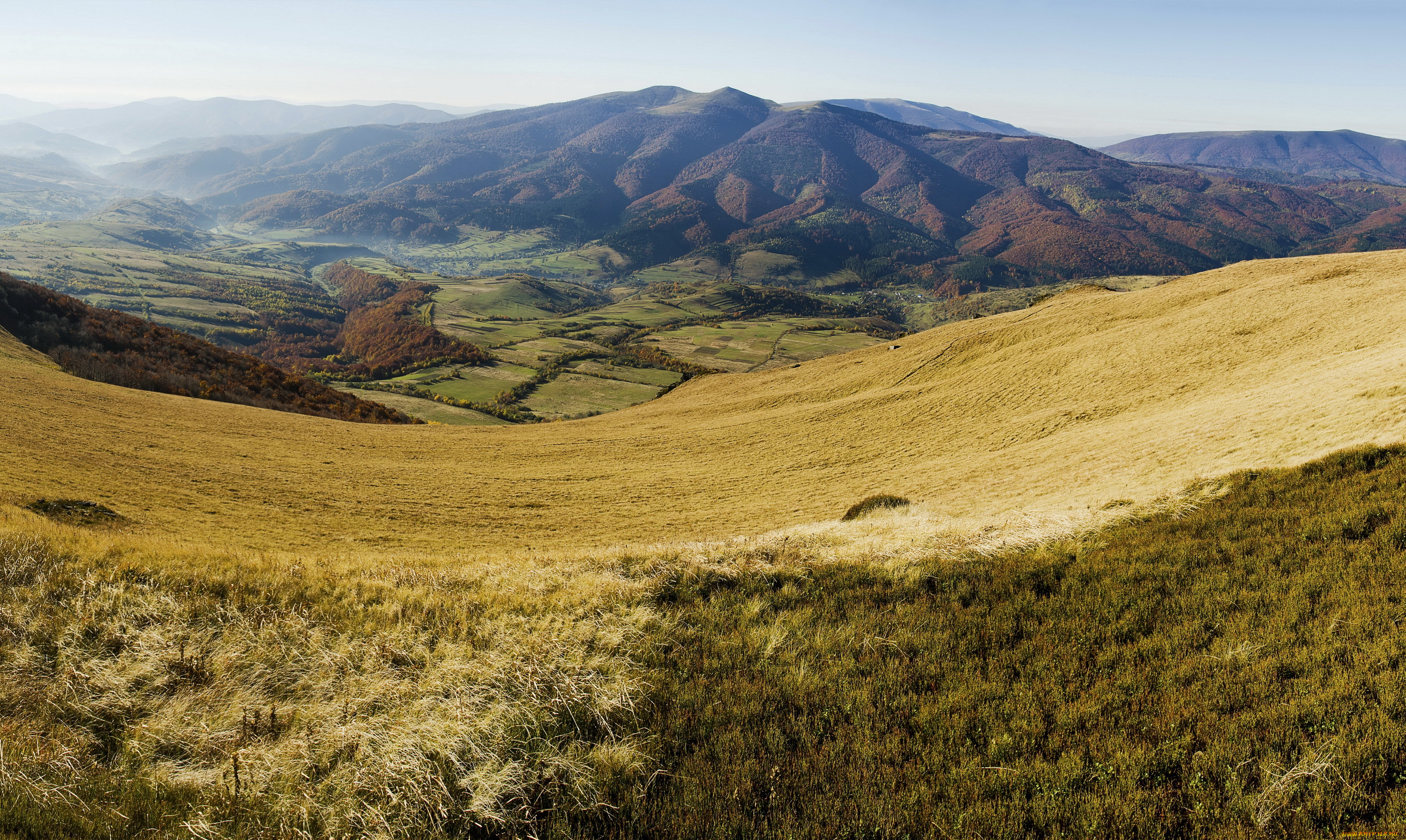 карпати, украина, природа, горы