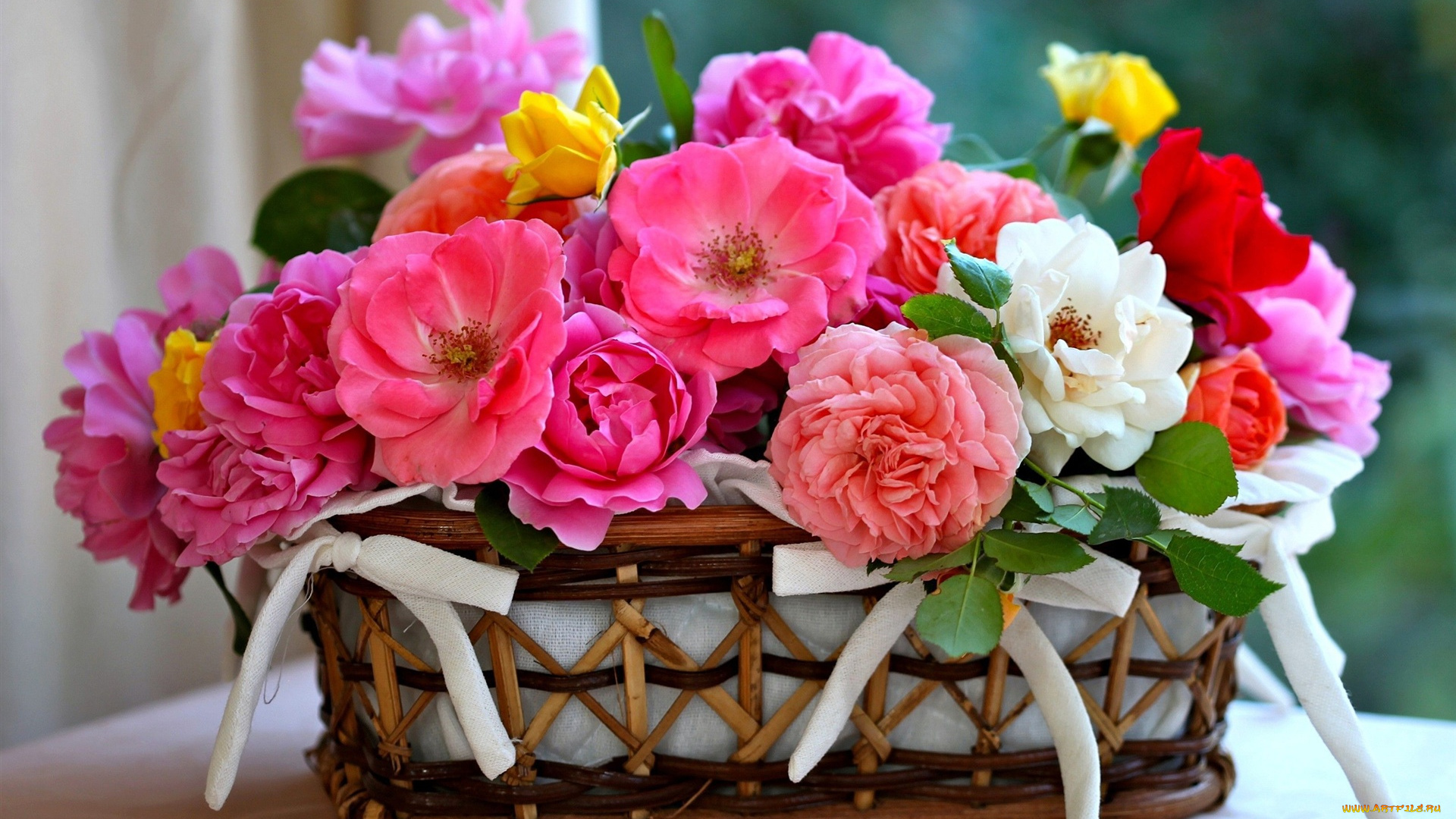 цветы, розы, разноцветные, корзина, бантики