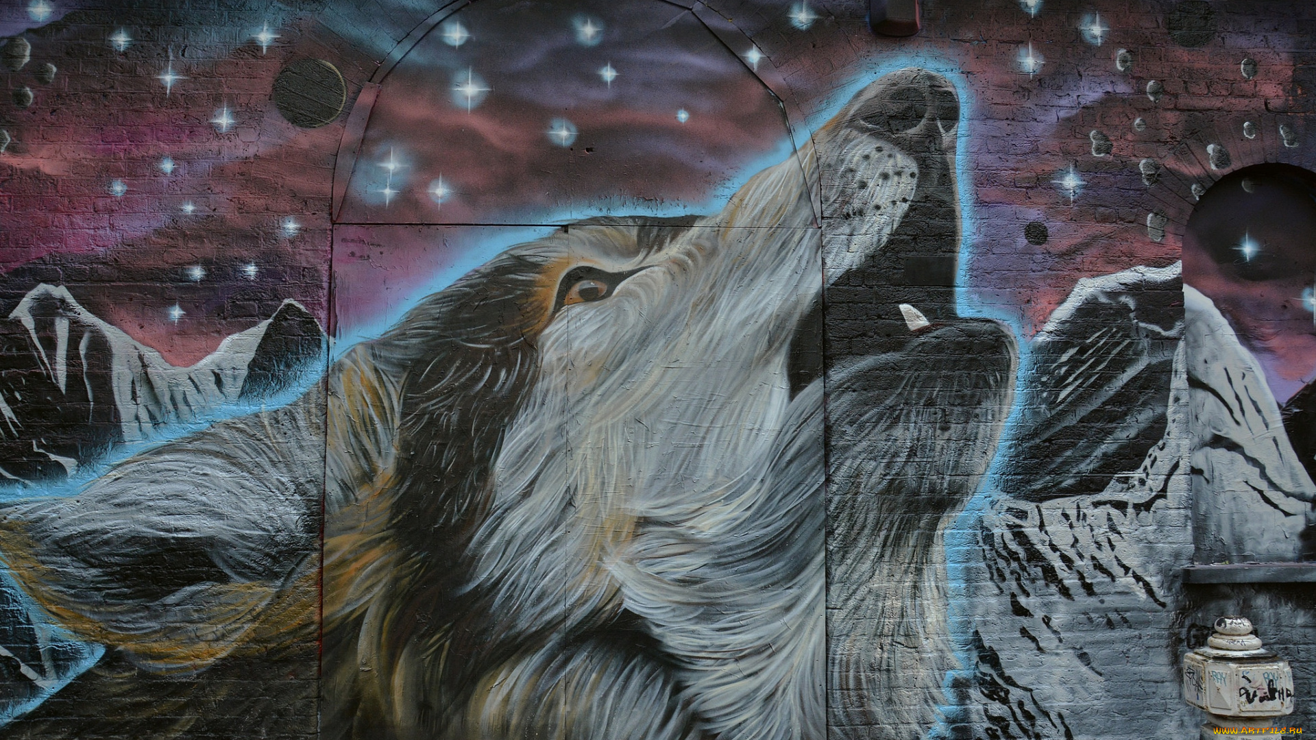 разное, граффити, волк, морда, звезды, стена, graffiti, фон