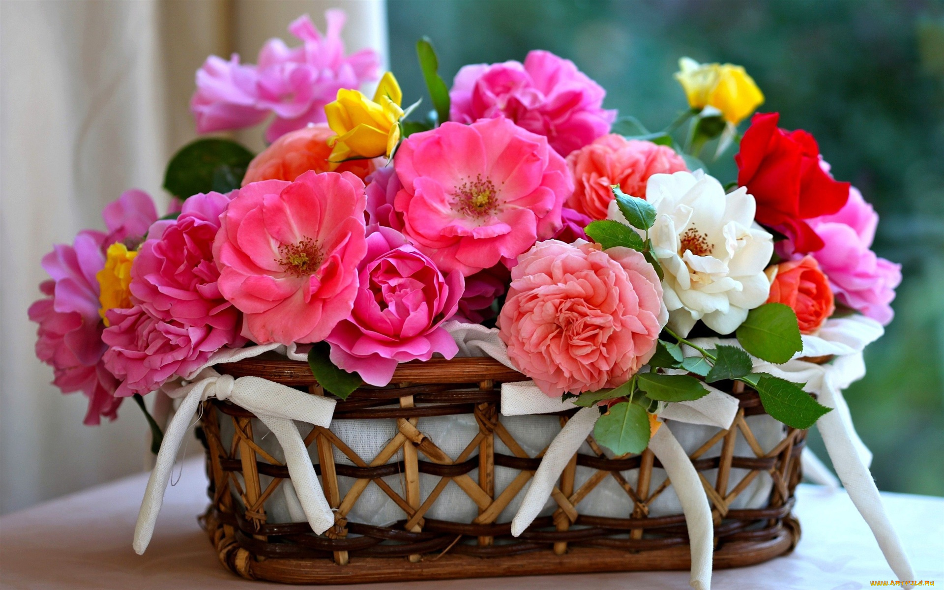цветы, розы, разноцветные, корзина, бантики