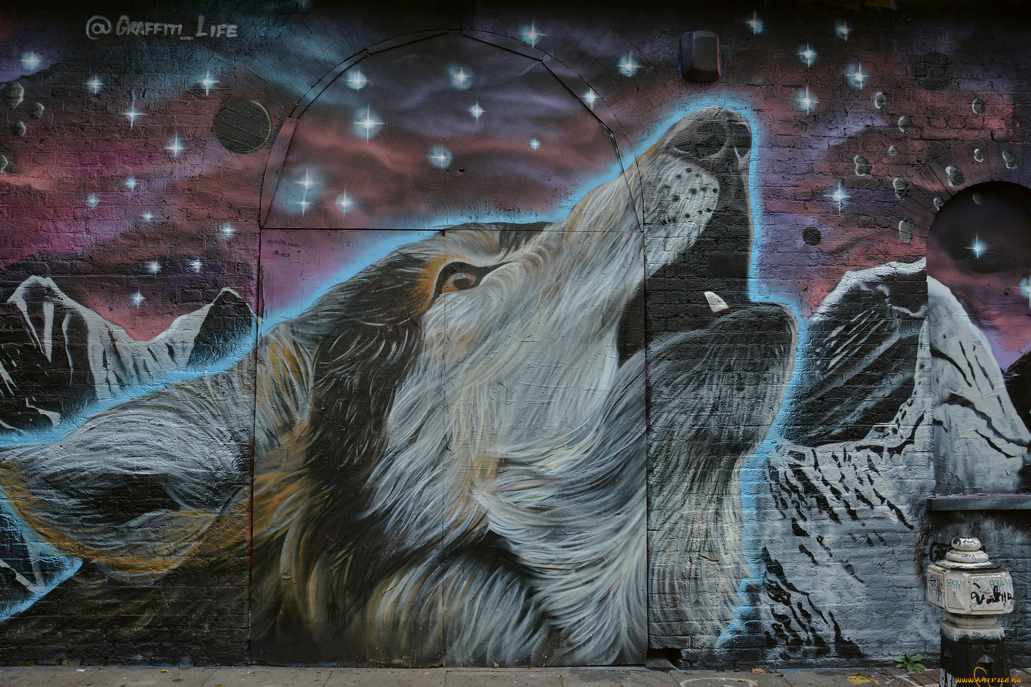разное, граффити, волк, морда, звезды, стена, graffiti, фон