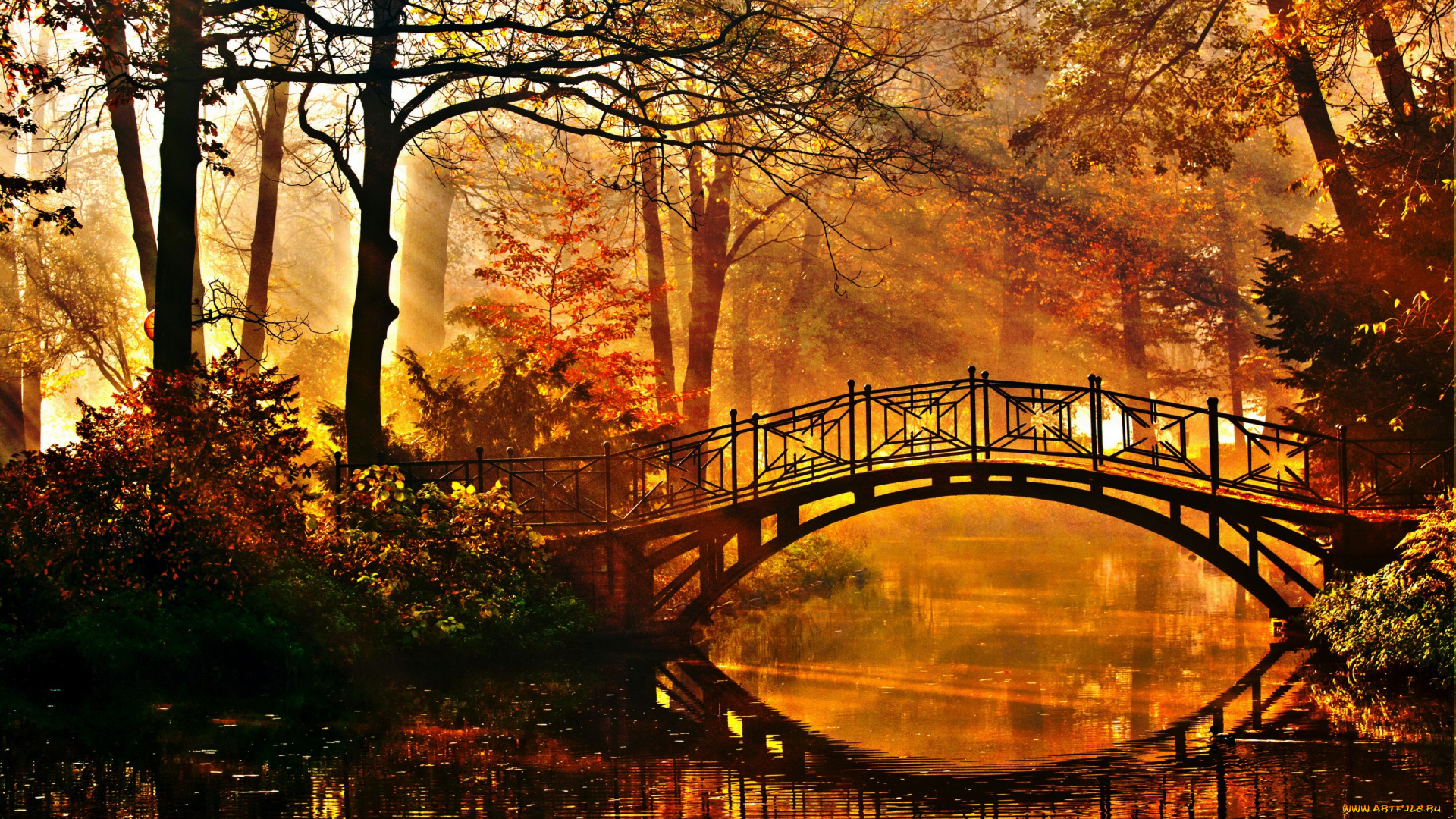 природа, парк, мост, деревья, кусты, лучи, солнца, пруд, осень