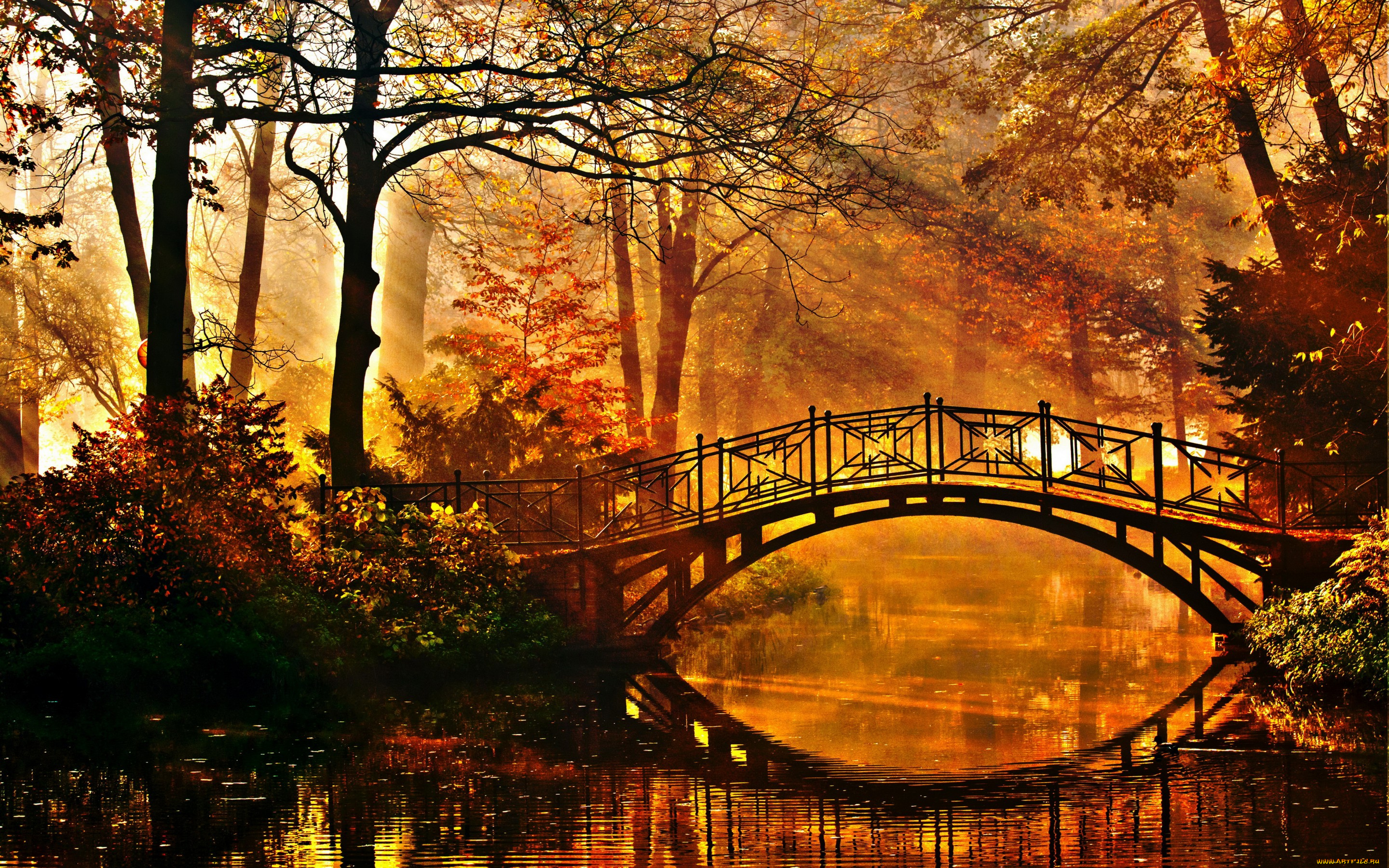 природа, парк, мост, деревья, кусты, лучи, солнца, пруд, осень