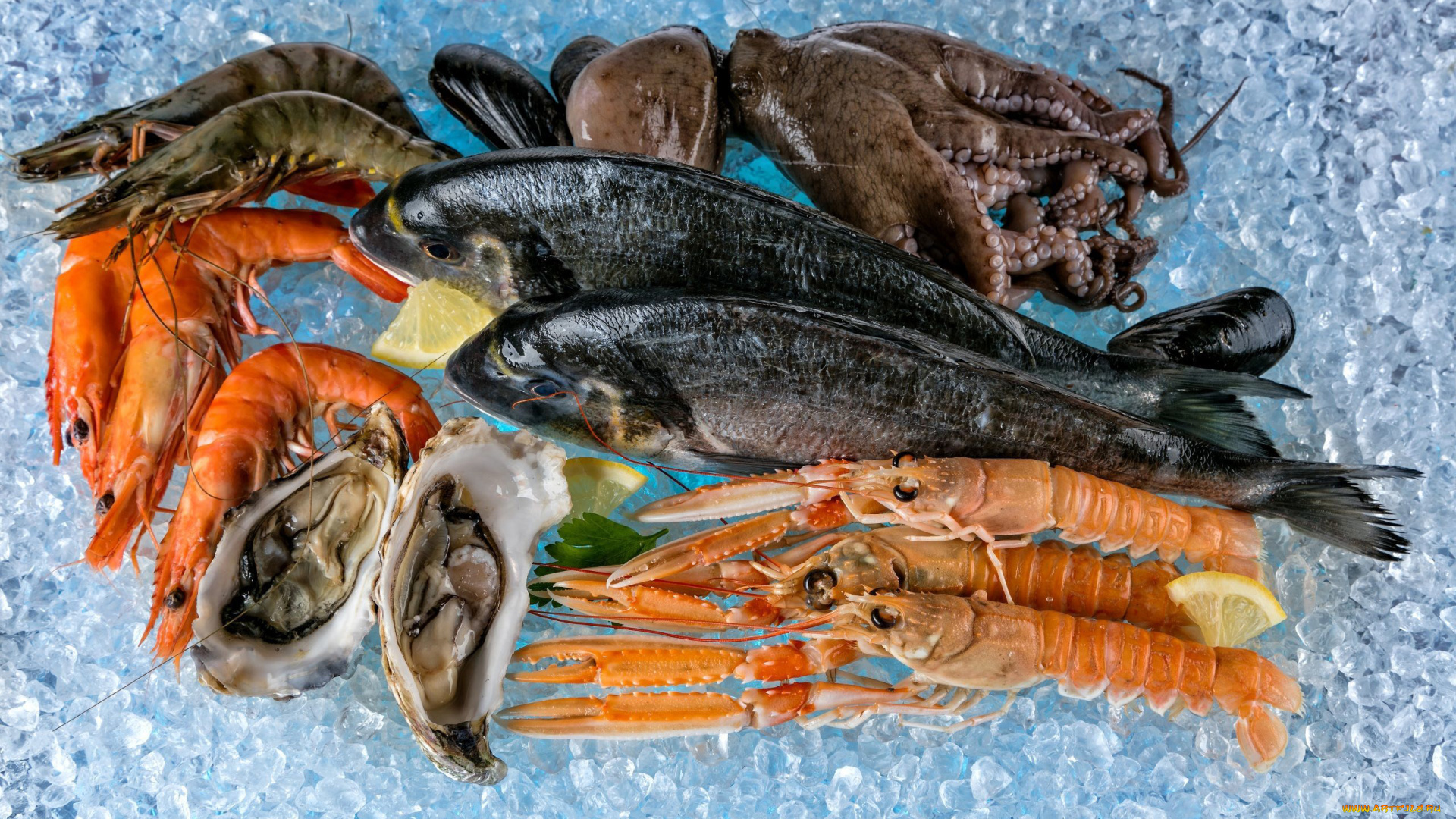 еда, рыба, , морепродукты, , суши, , роллы, креветки, осьминог, устрицы, лед