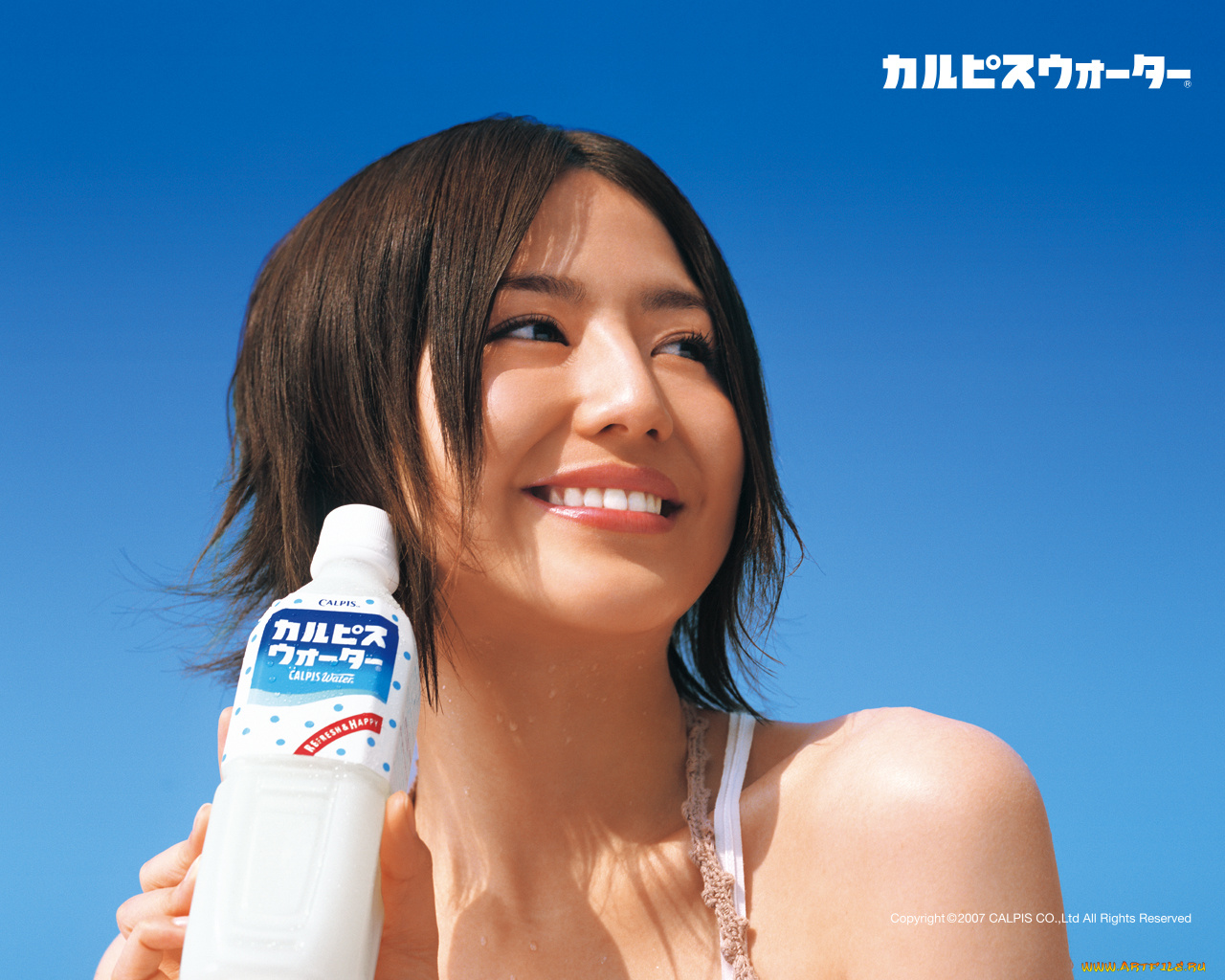 calpis, бренды