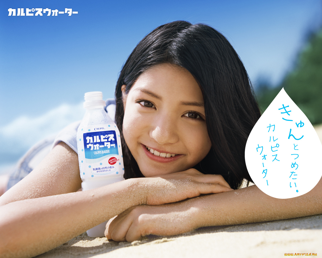 calpis, бренды