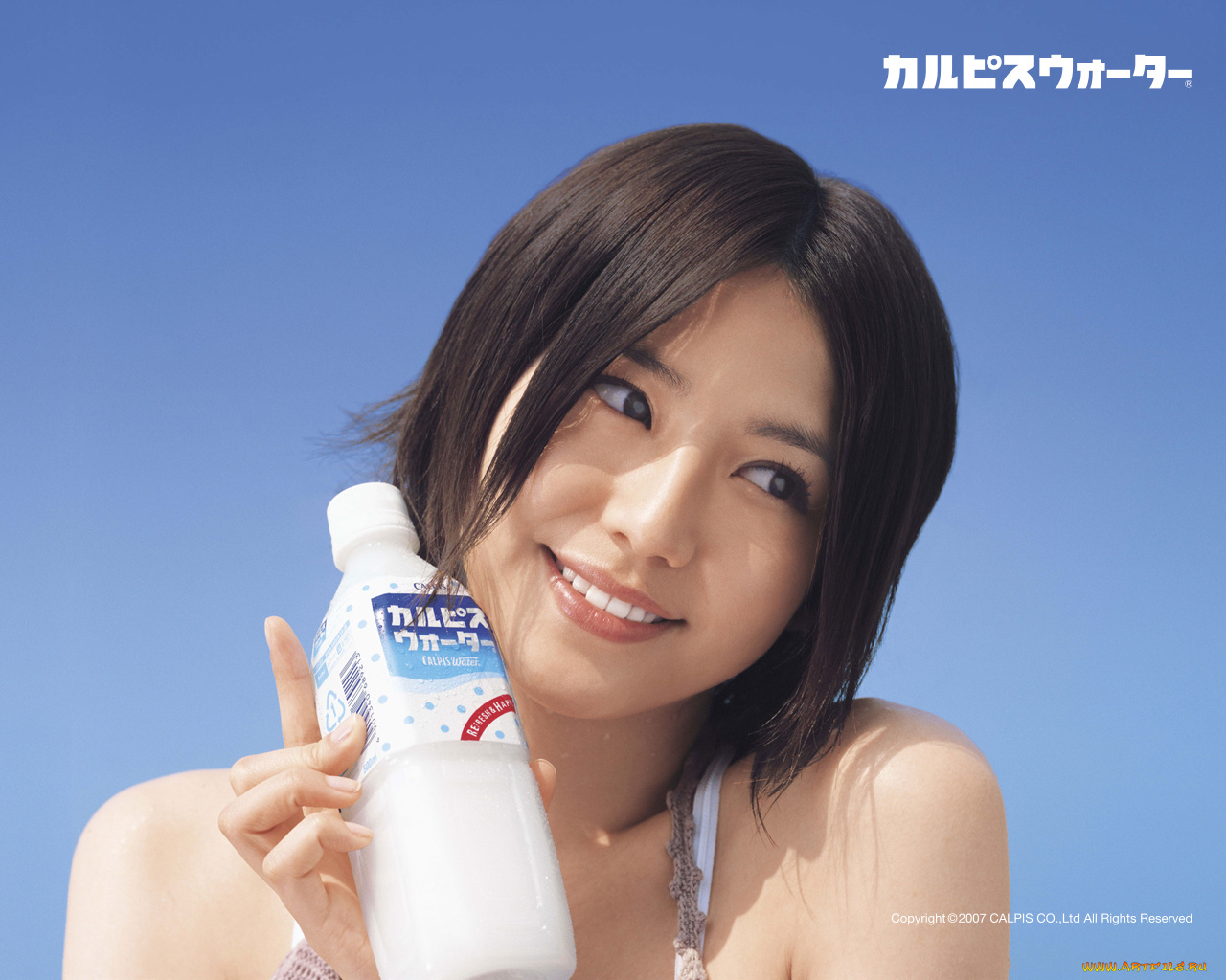 calpis, бренды