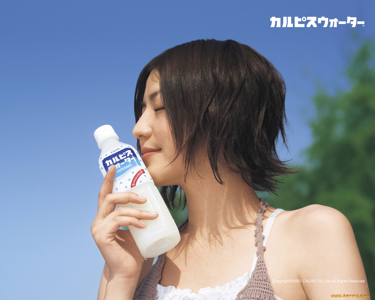 calpis, бренды