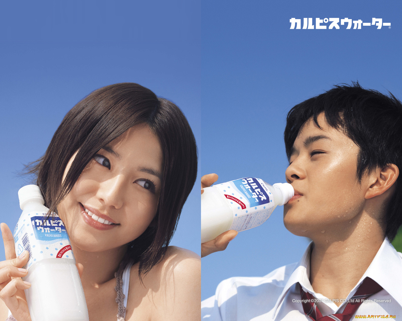 calpis, бренды